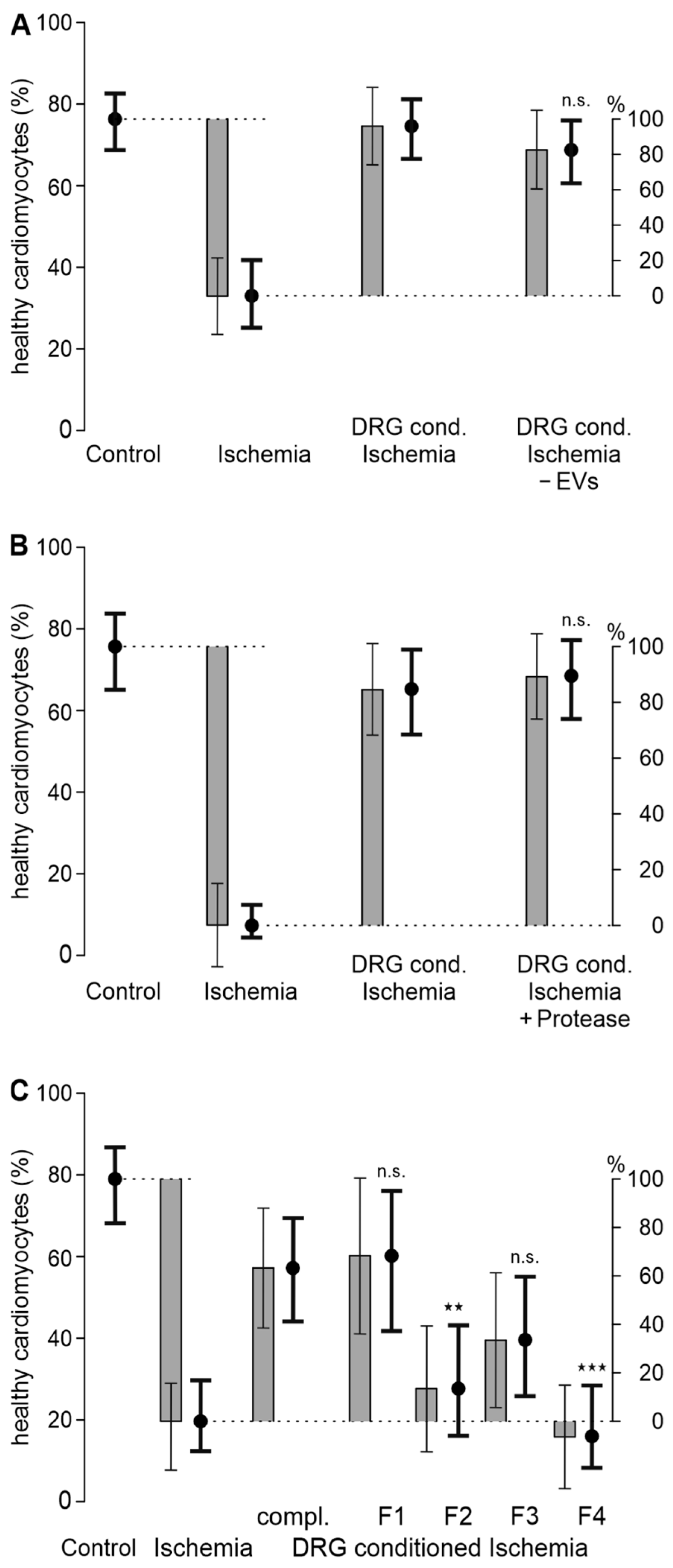 Biomedicines 12 01856 g002 Biomedicines 12 01856 g002