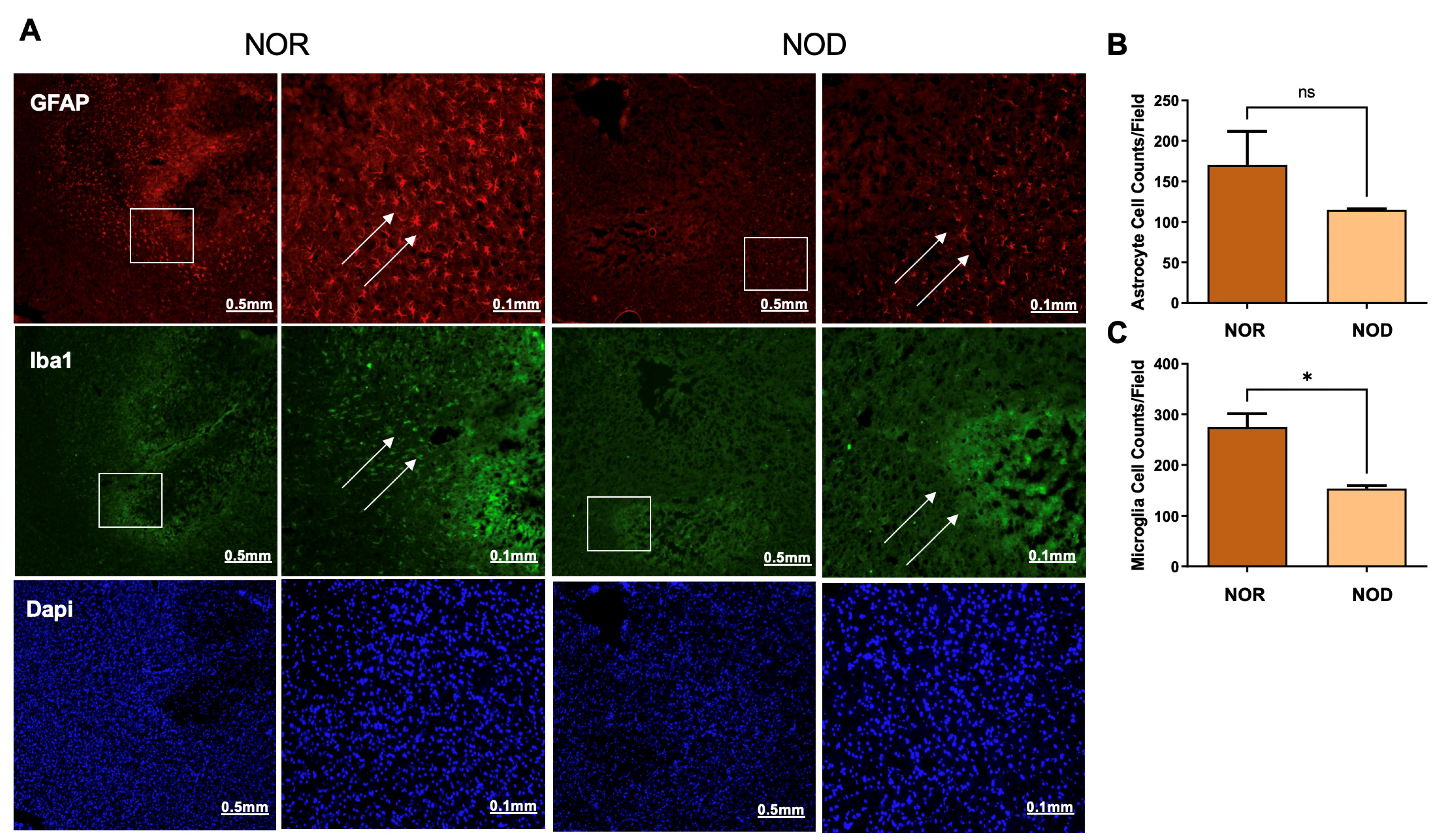 Biomedicines 12 01867 g004