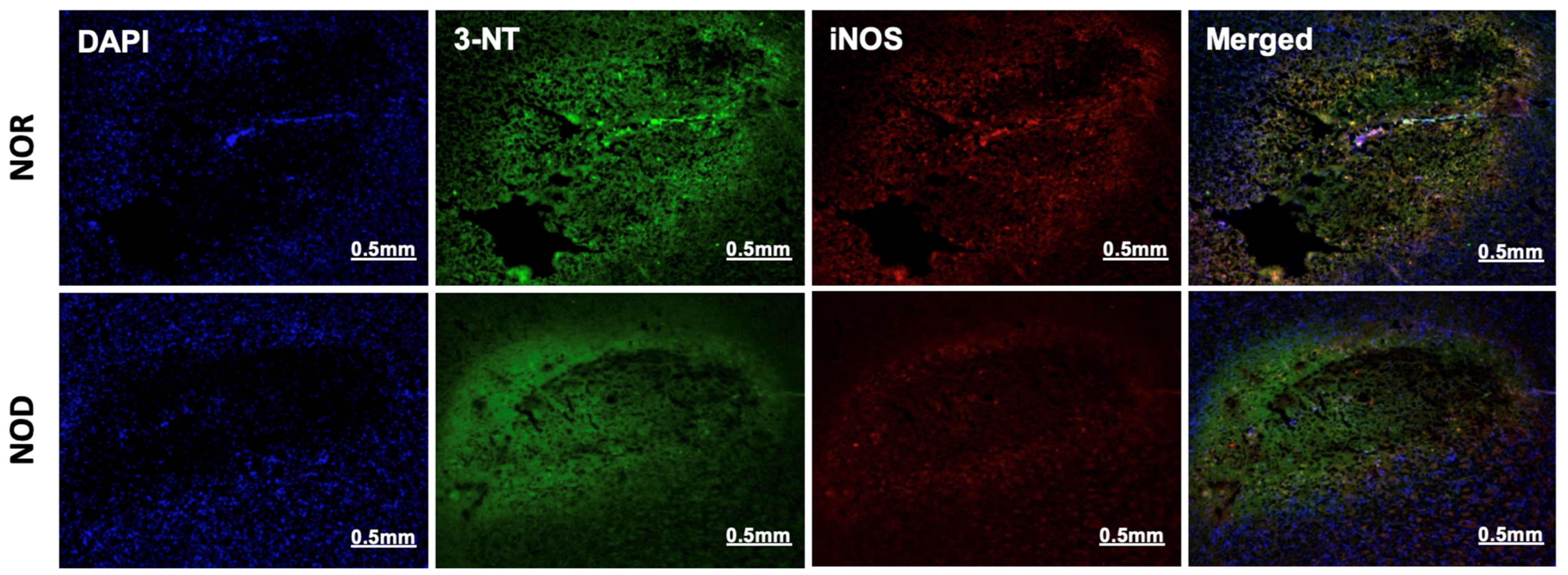 Biomedicines 12 01867 g005