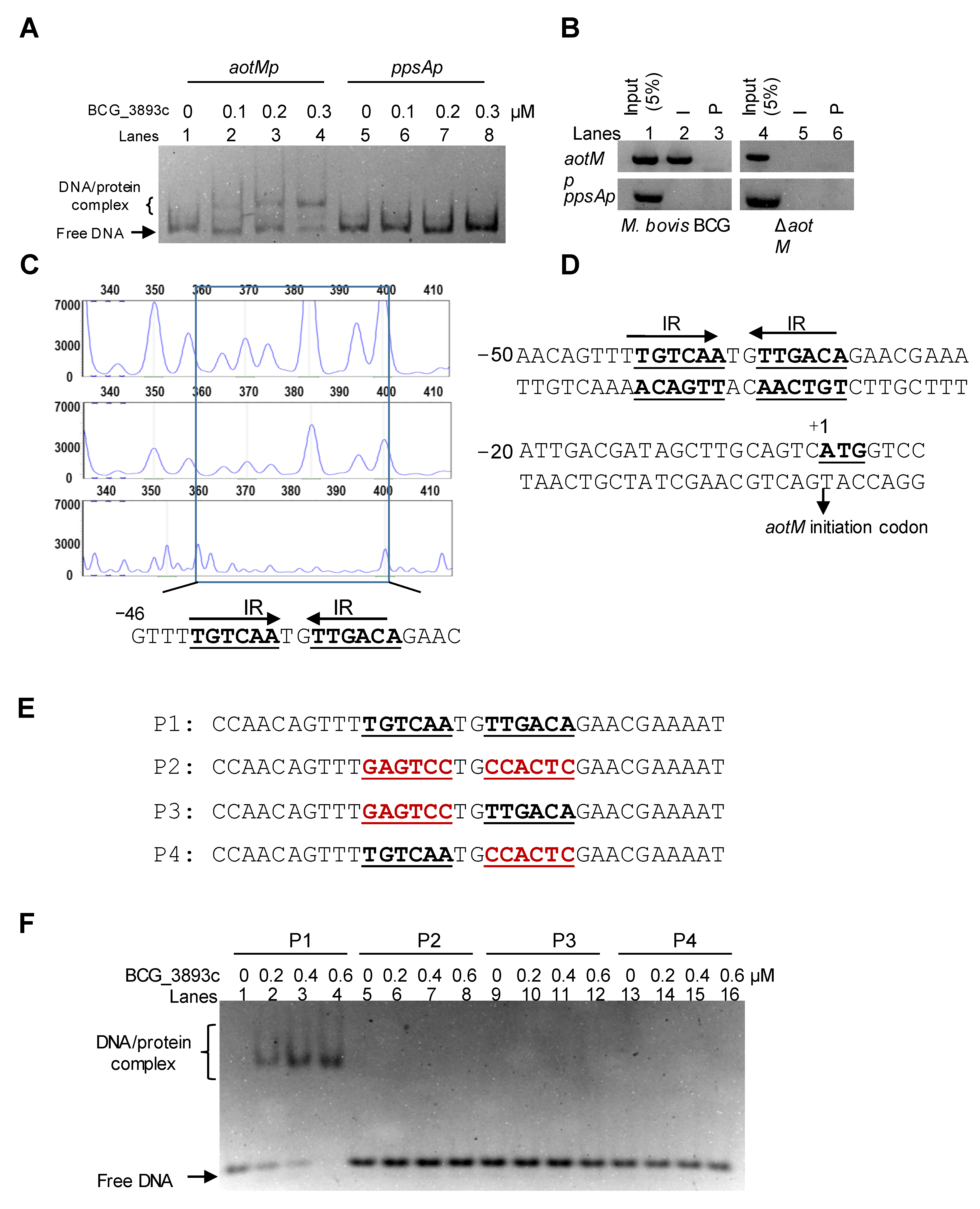 Biomedicines 12 01872 g003