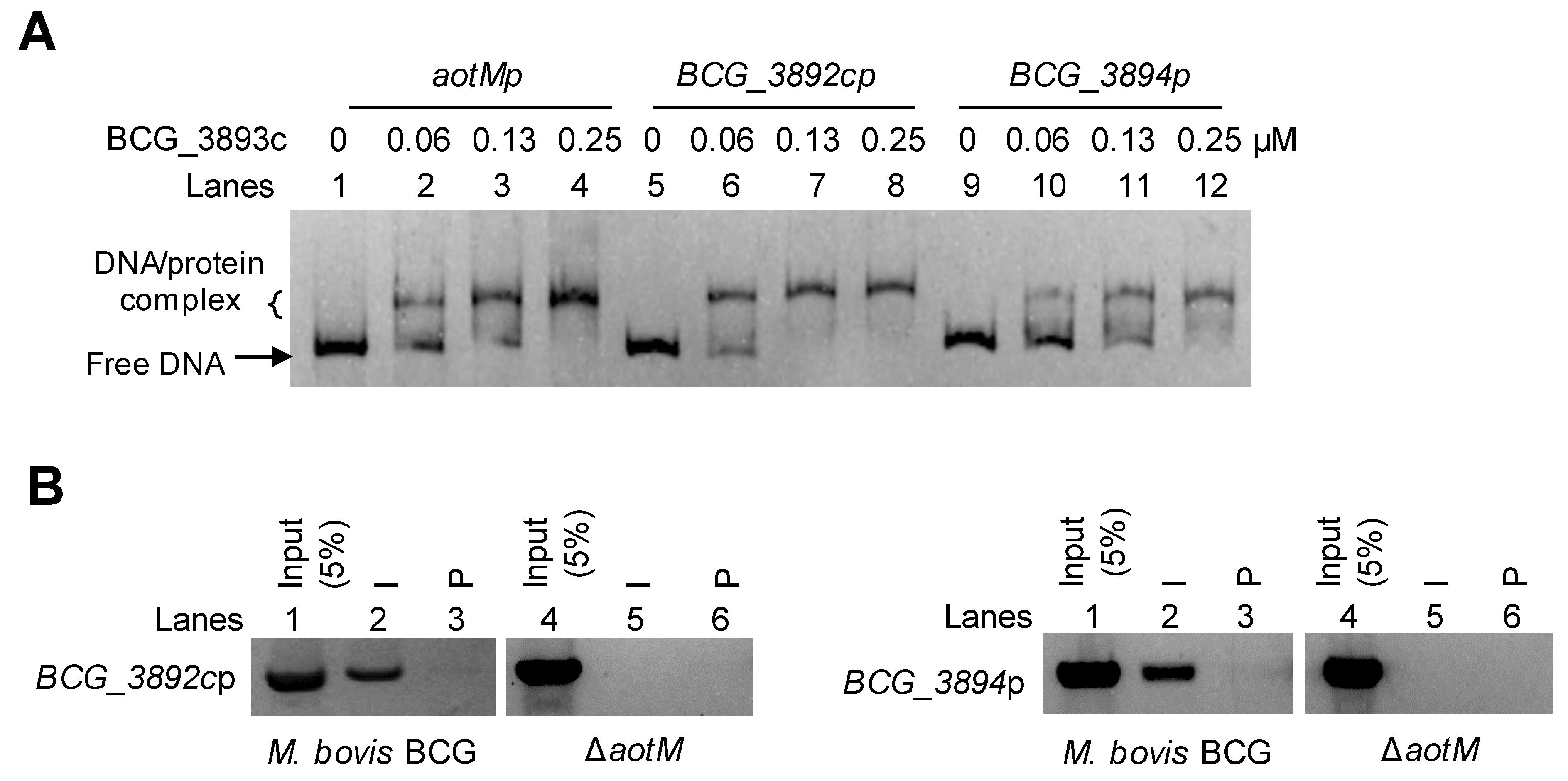 Biomedicines 12 01872 g005