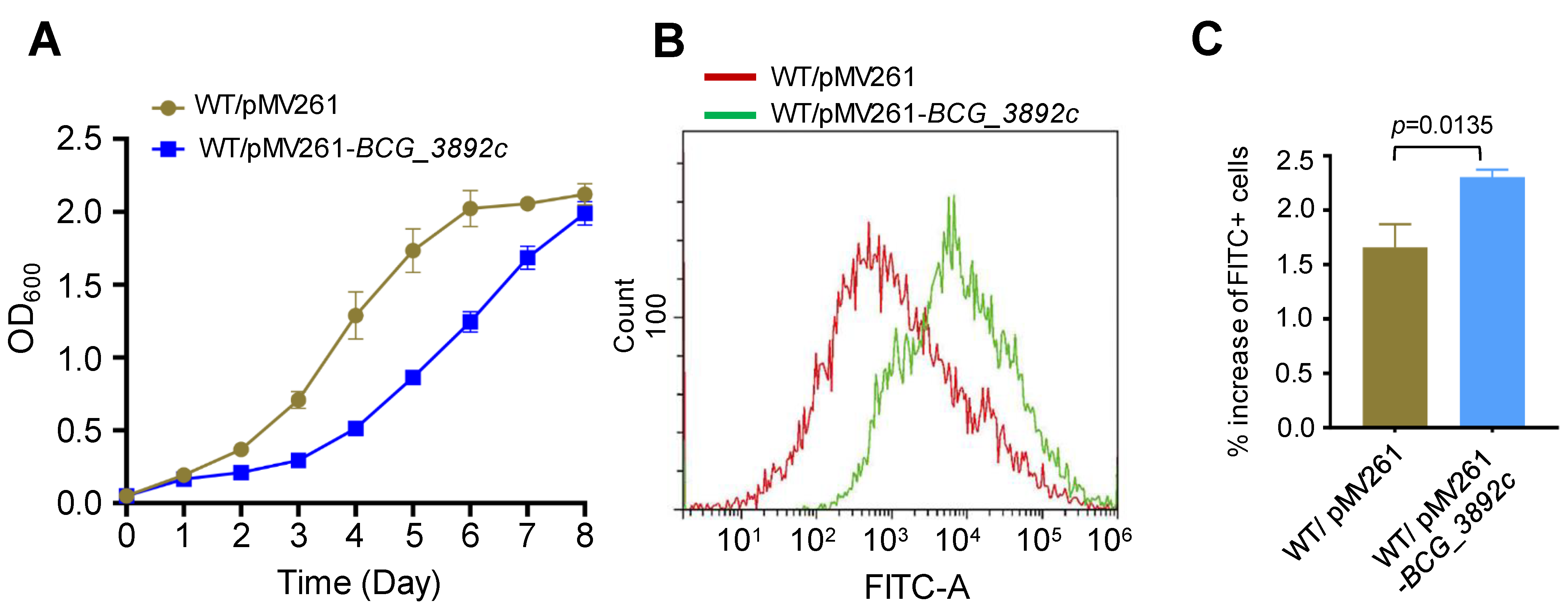 Biomedicines 12 01872 g006
