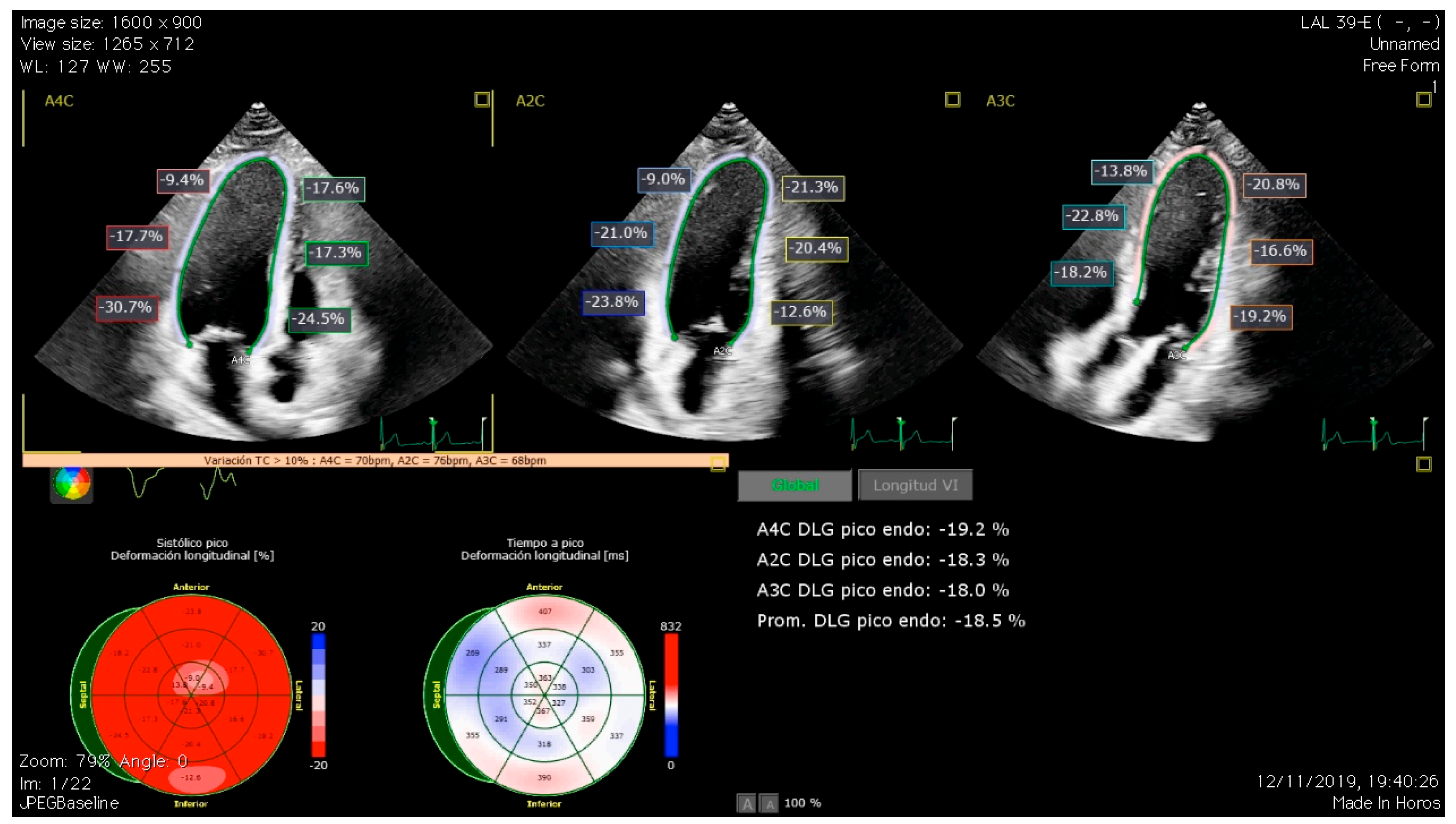 Biomedicines 12 01875 g001