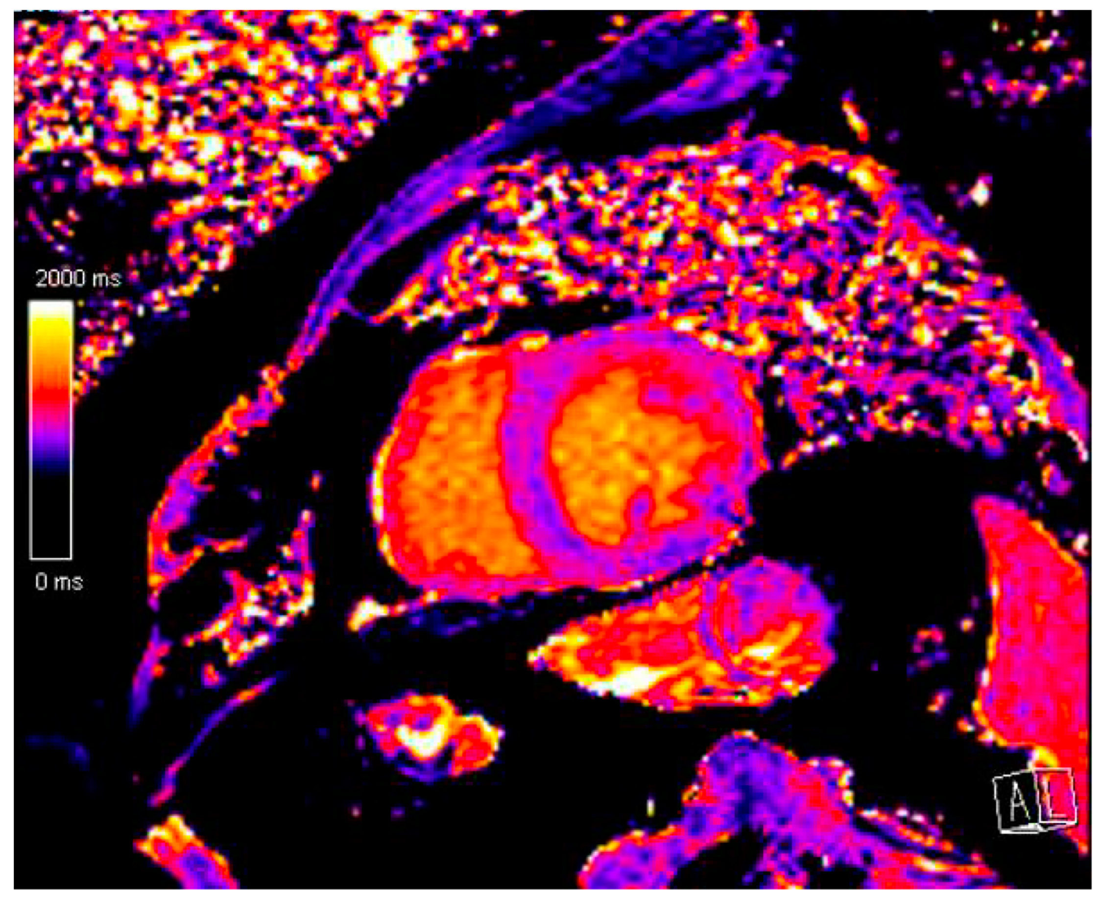 Biomedicines 12 01875 g002