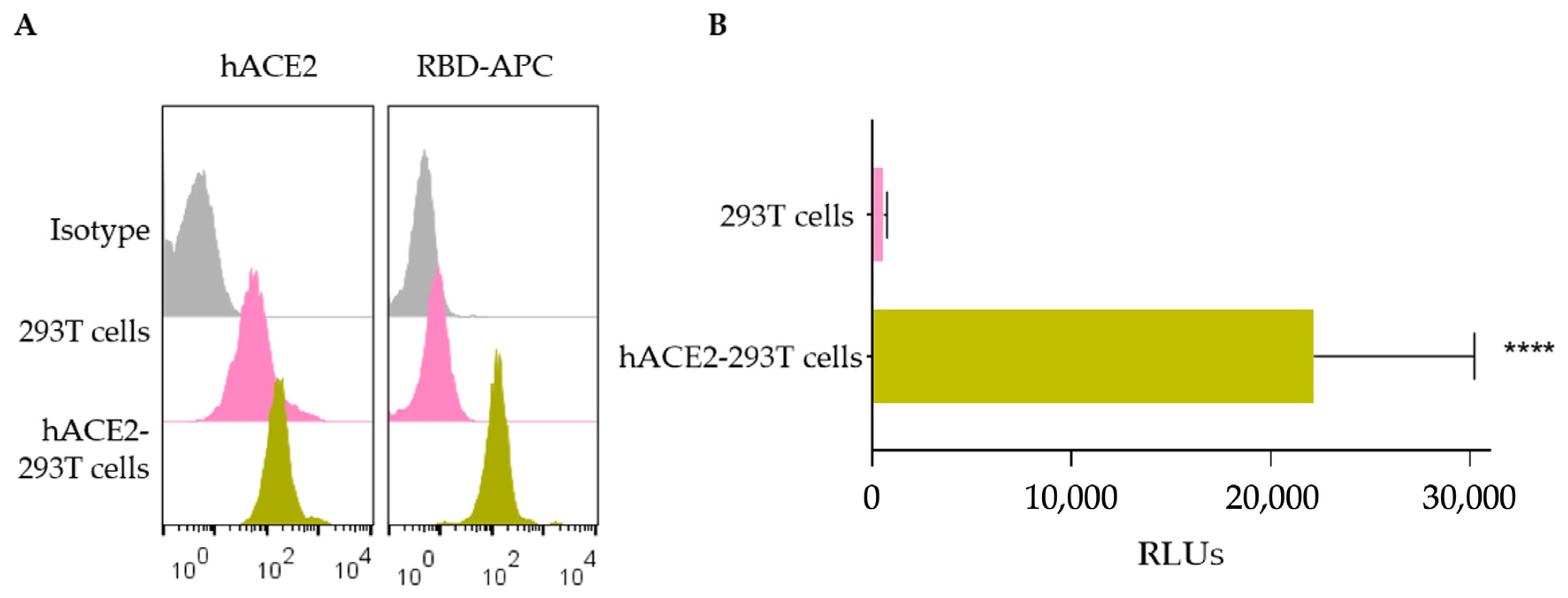 Biomedicines 12 01885 g002