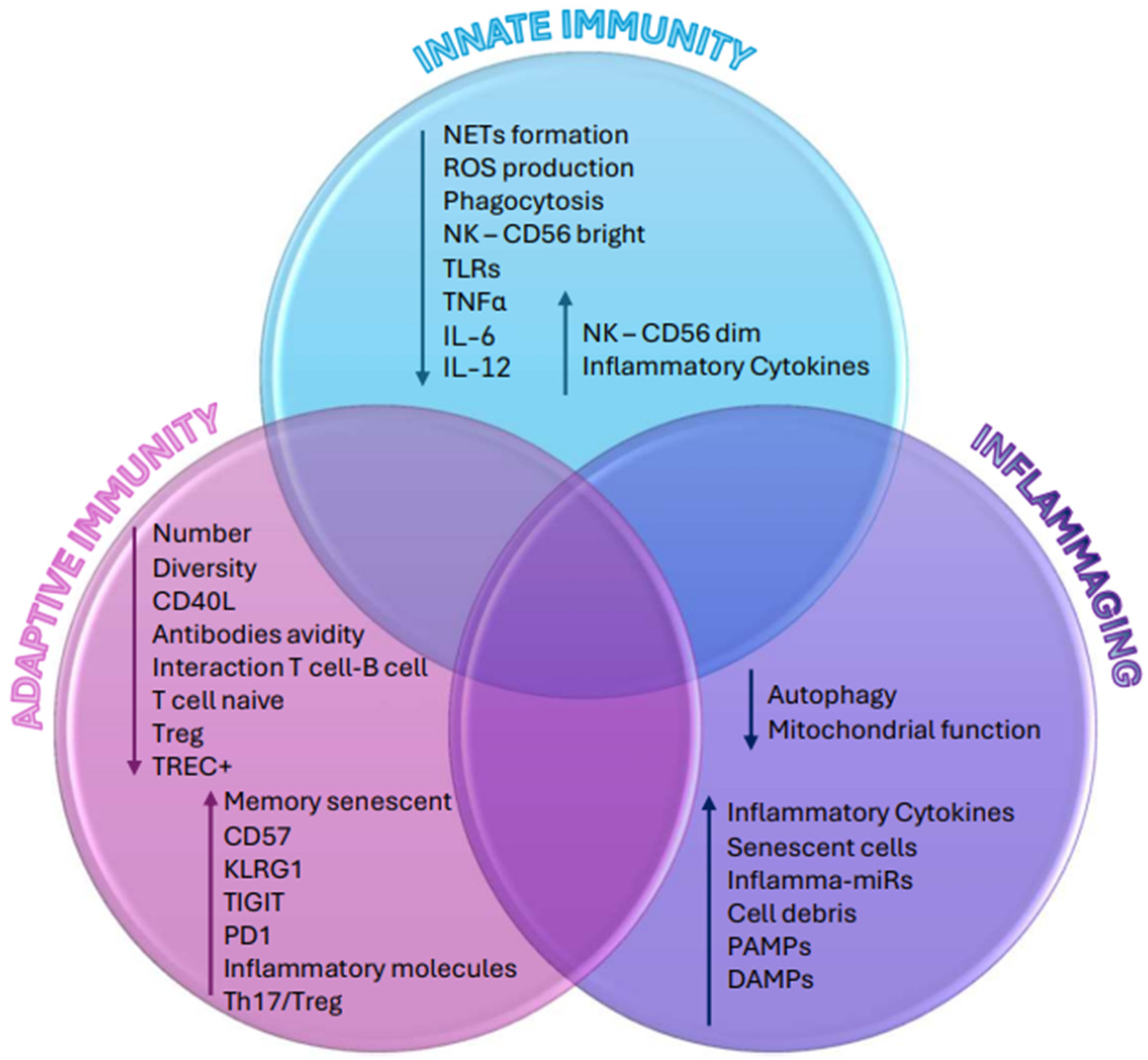 Biomedicines 12 01890 g001 Biomedicines 12 01890 g001