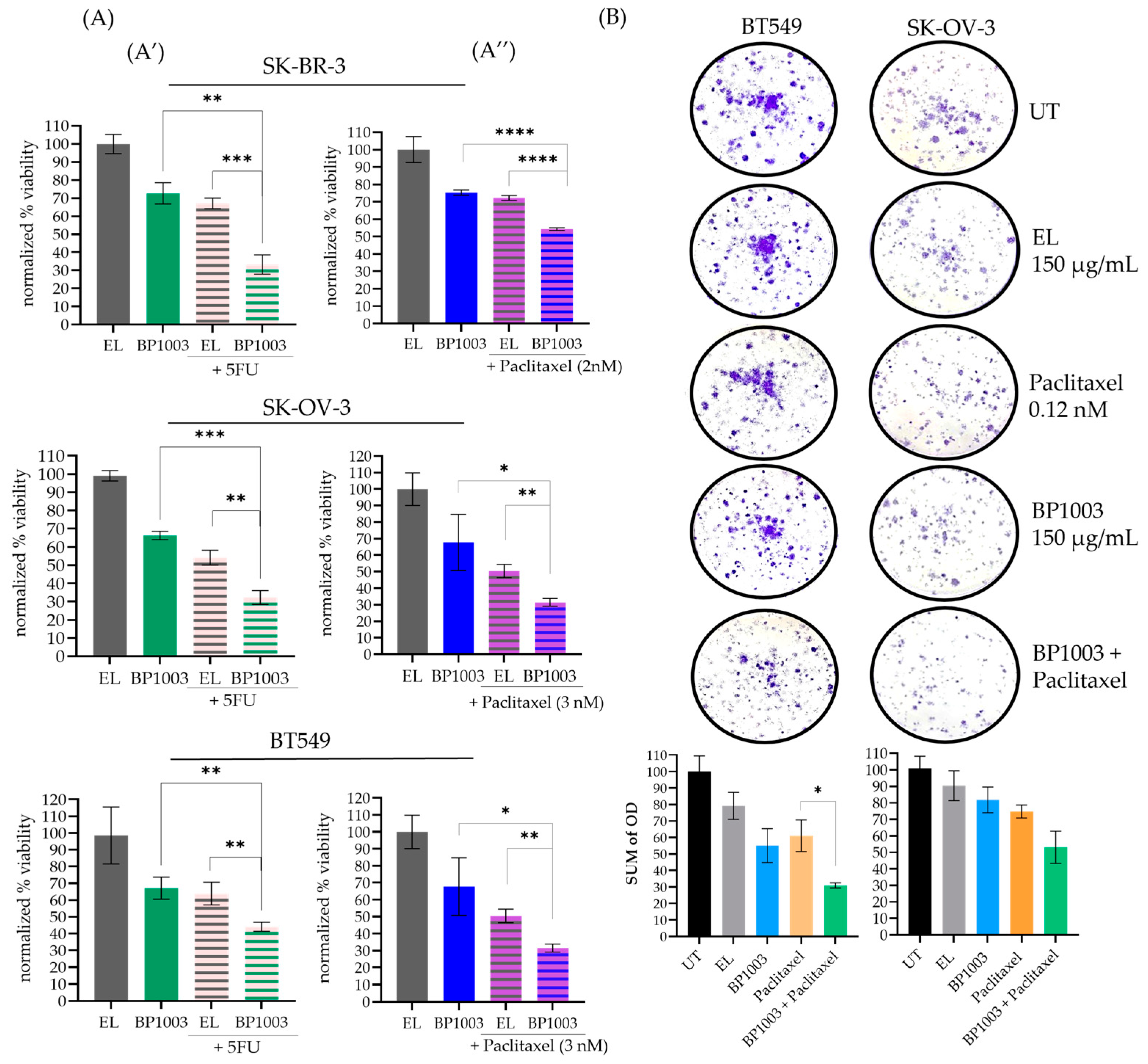 Biomedicines 12 01901 g002