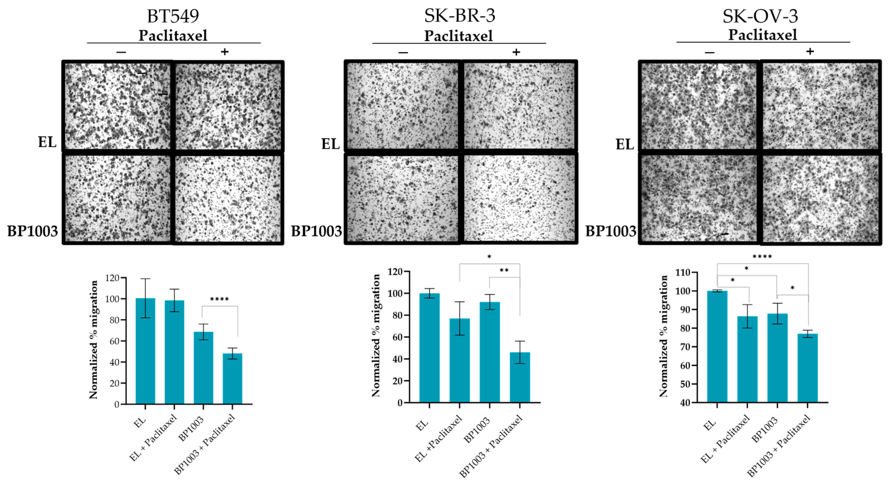 Biomedicines 12 01901 g003