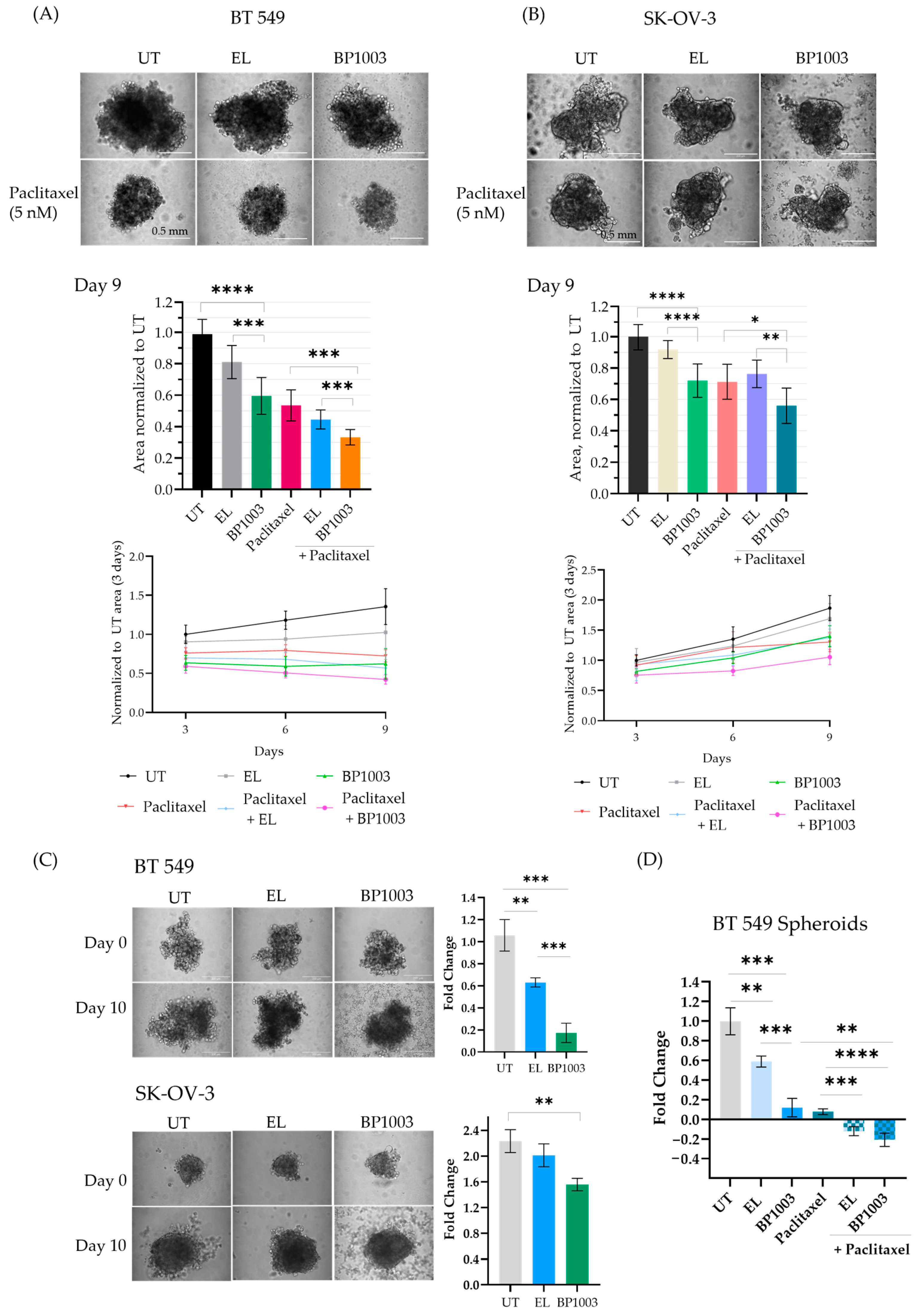 Biomedicines 12 01901 g004