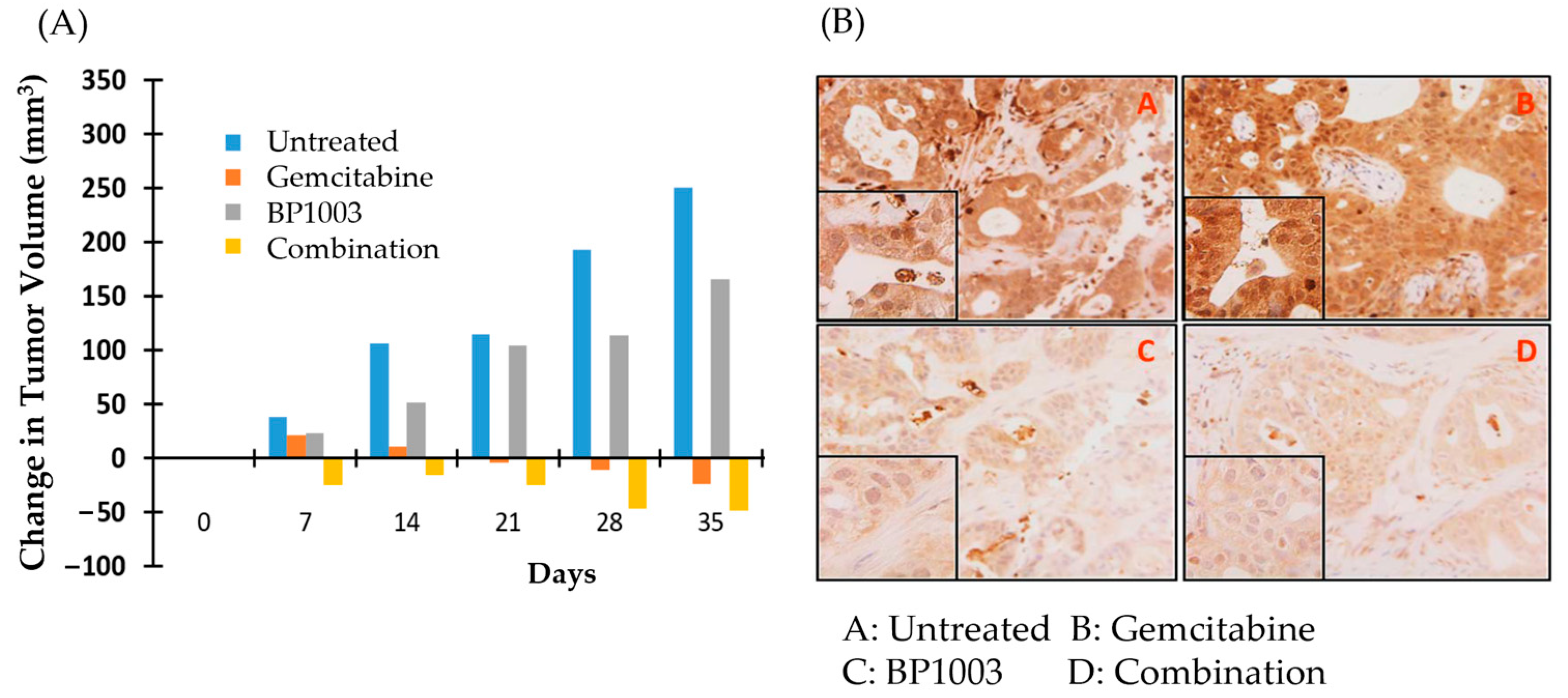 Biomedicines 12 01901 g005