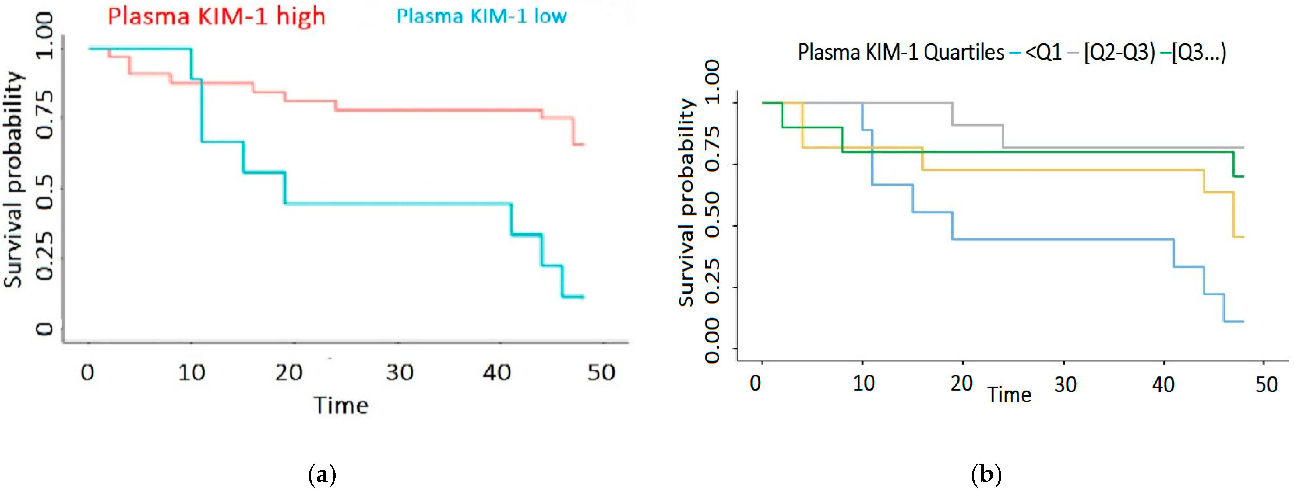 Biomedicines 12 01903 g003