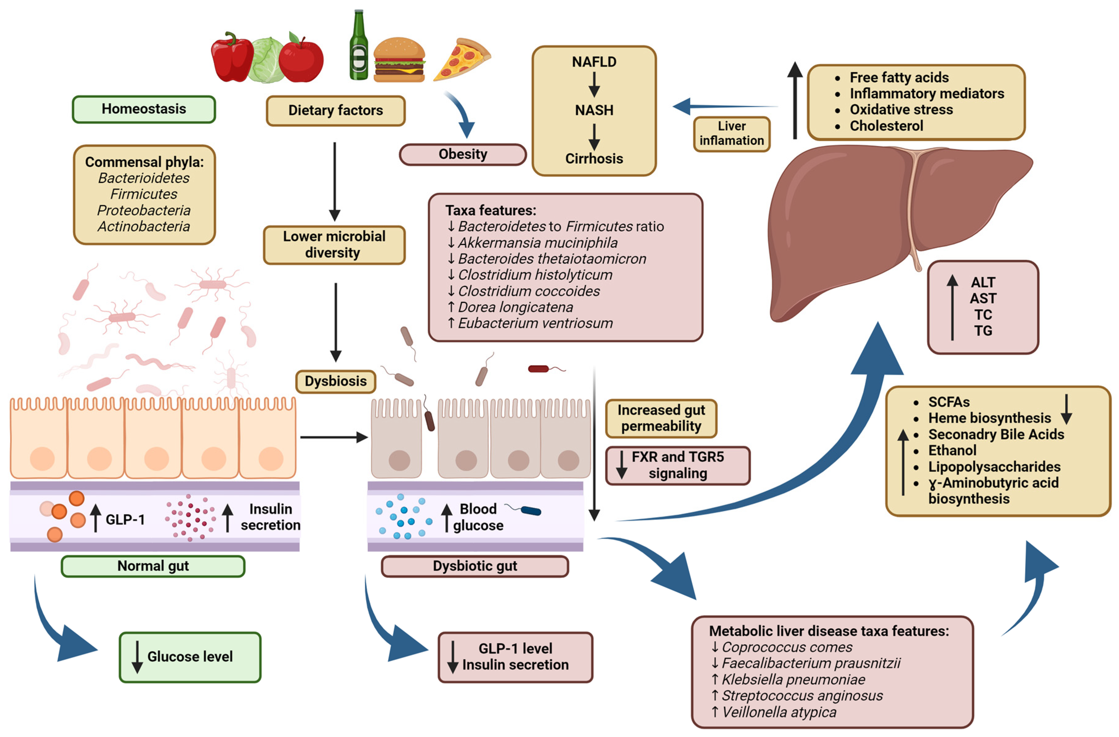 Biomedicines 12 01904 g001