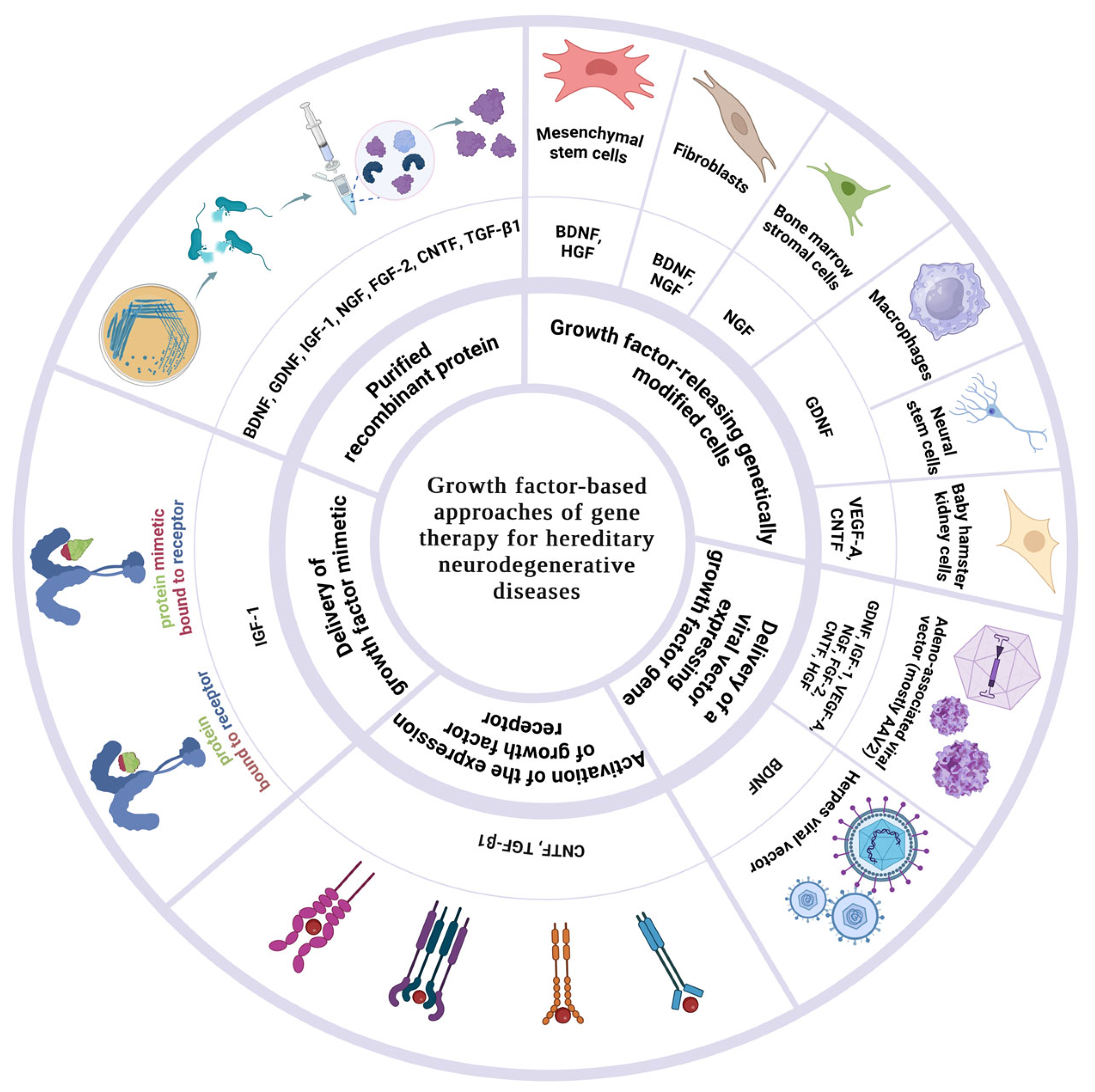 Biomedicines 12 01906 g001