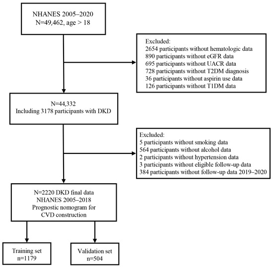 Biomedicines 12 01907 g001