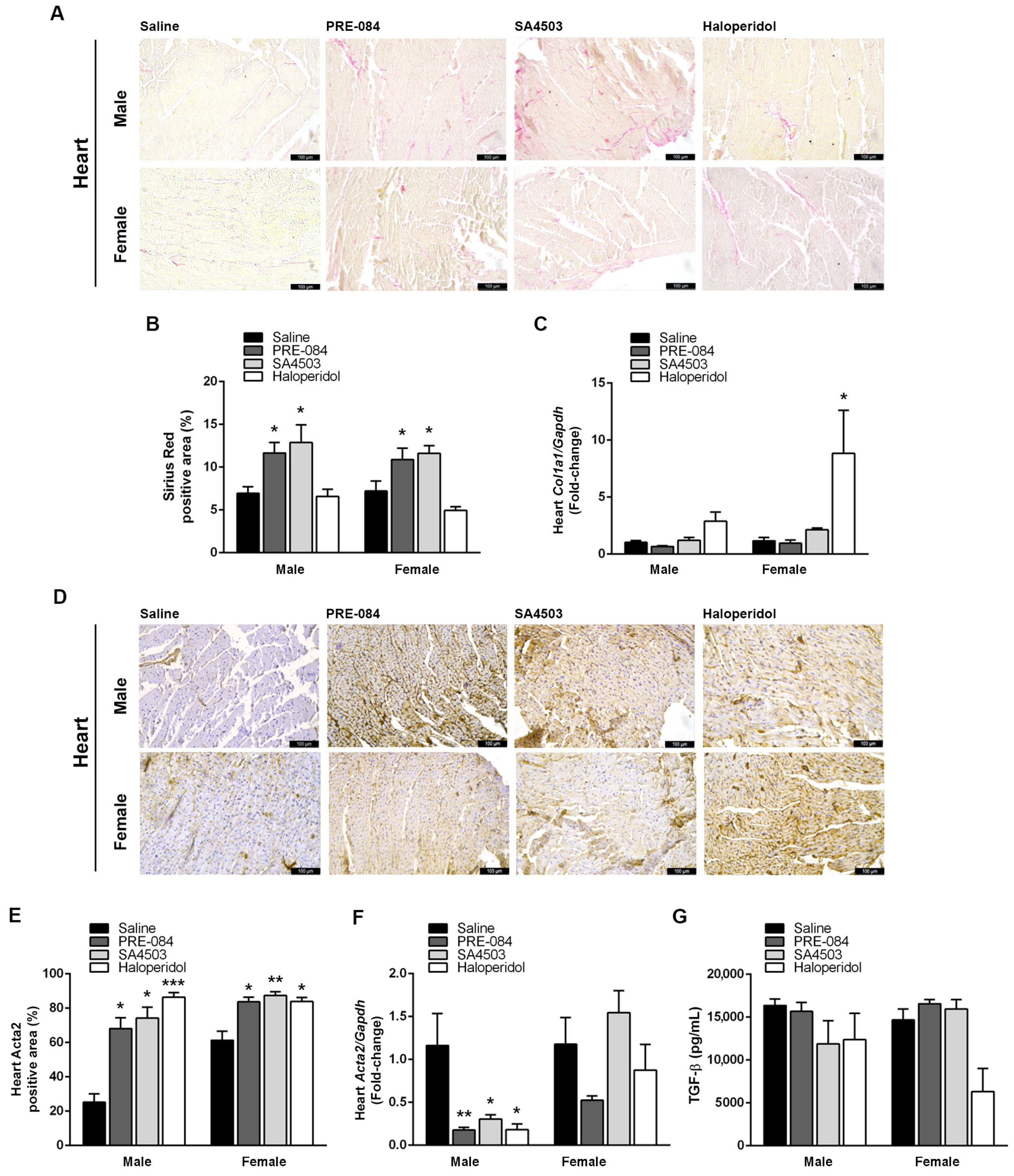 Biomedicines 12 01908 g005