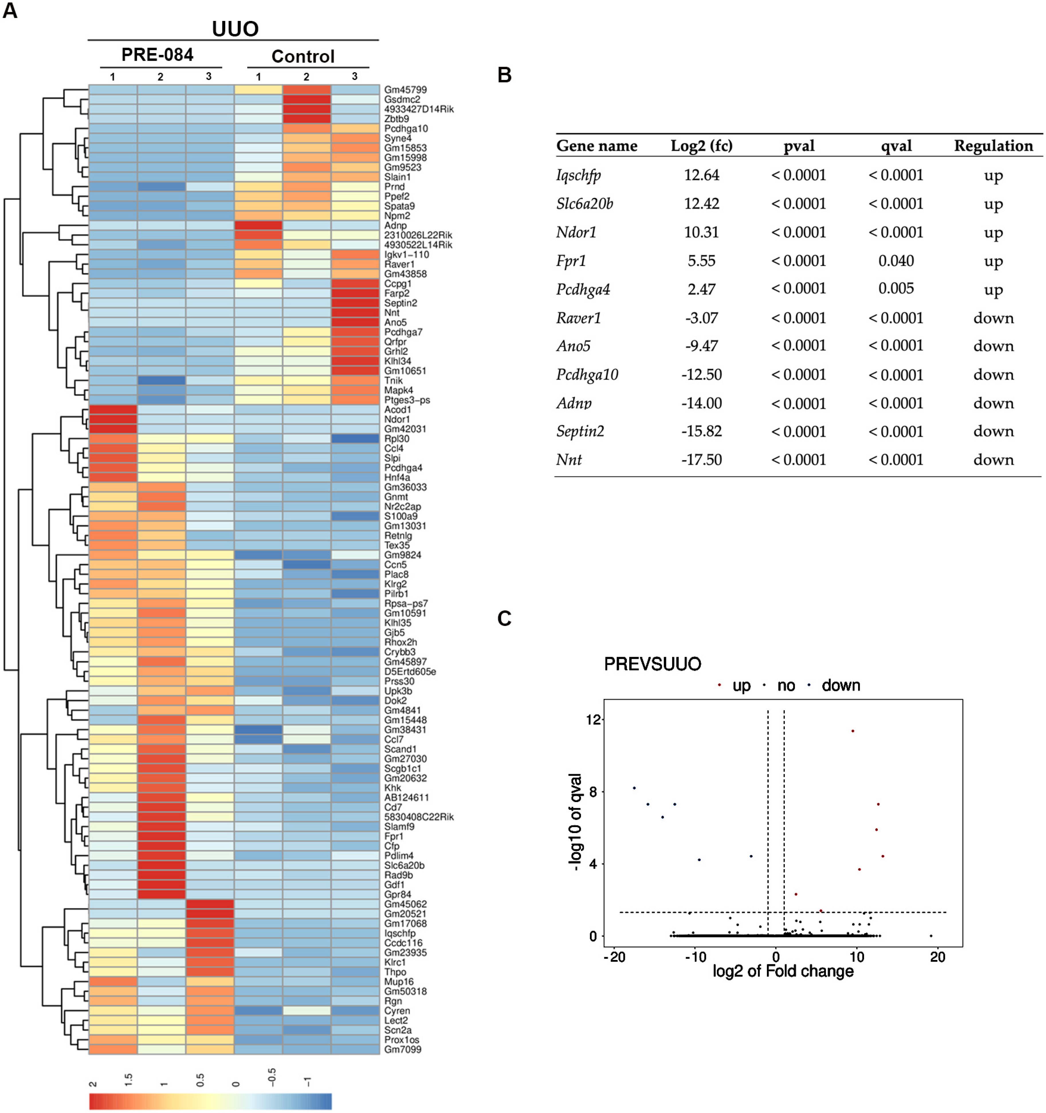 Biomedicines 12 01908 g007