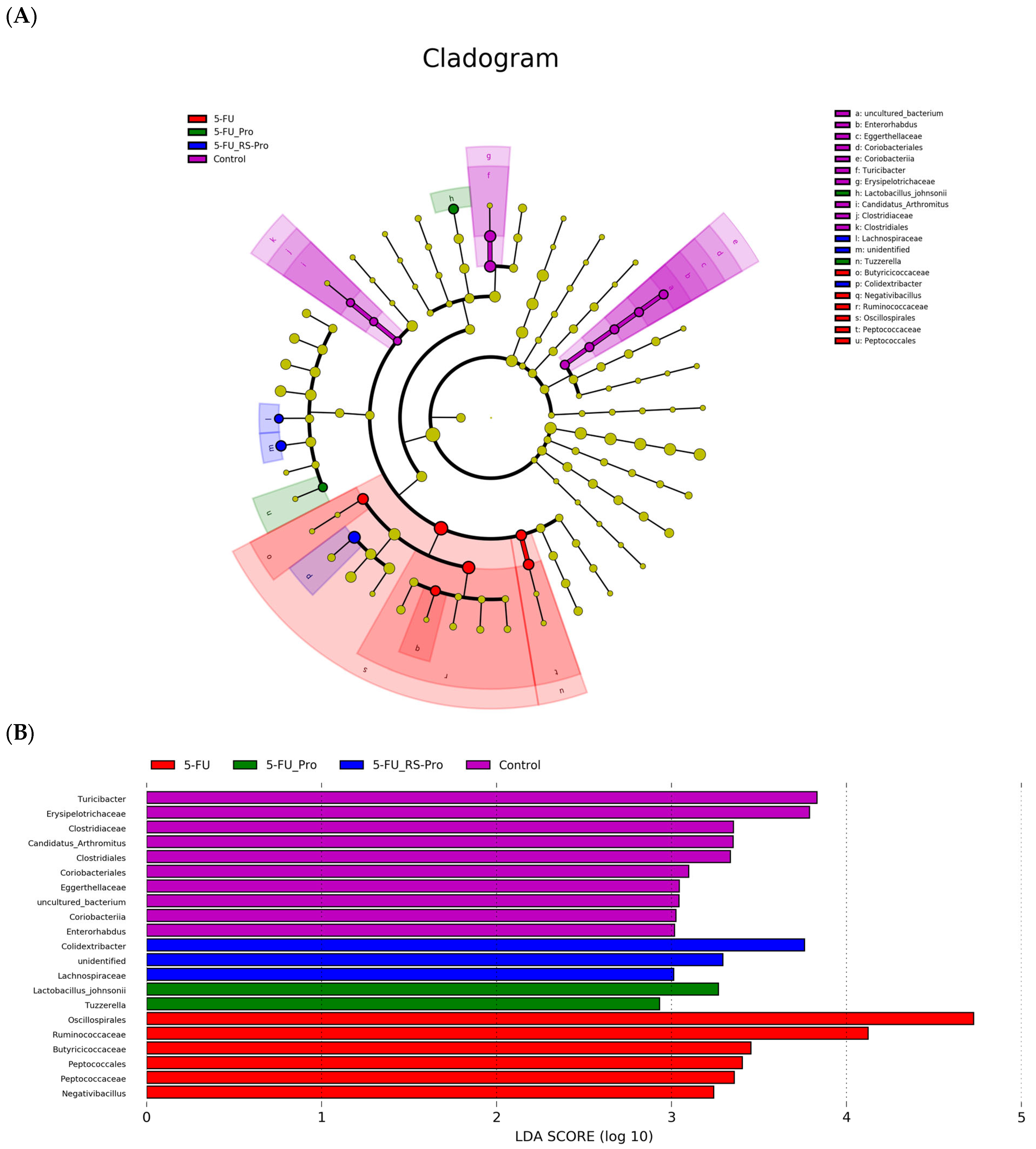 Biomedicines 12 01912 g006