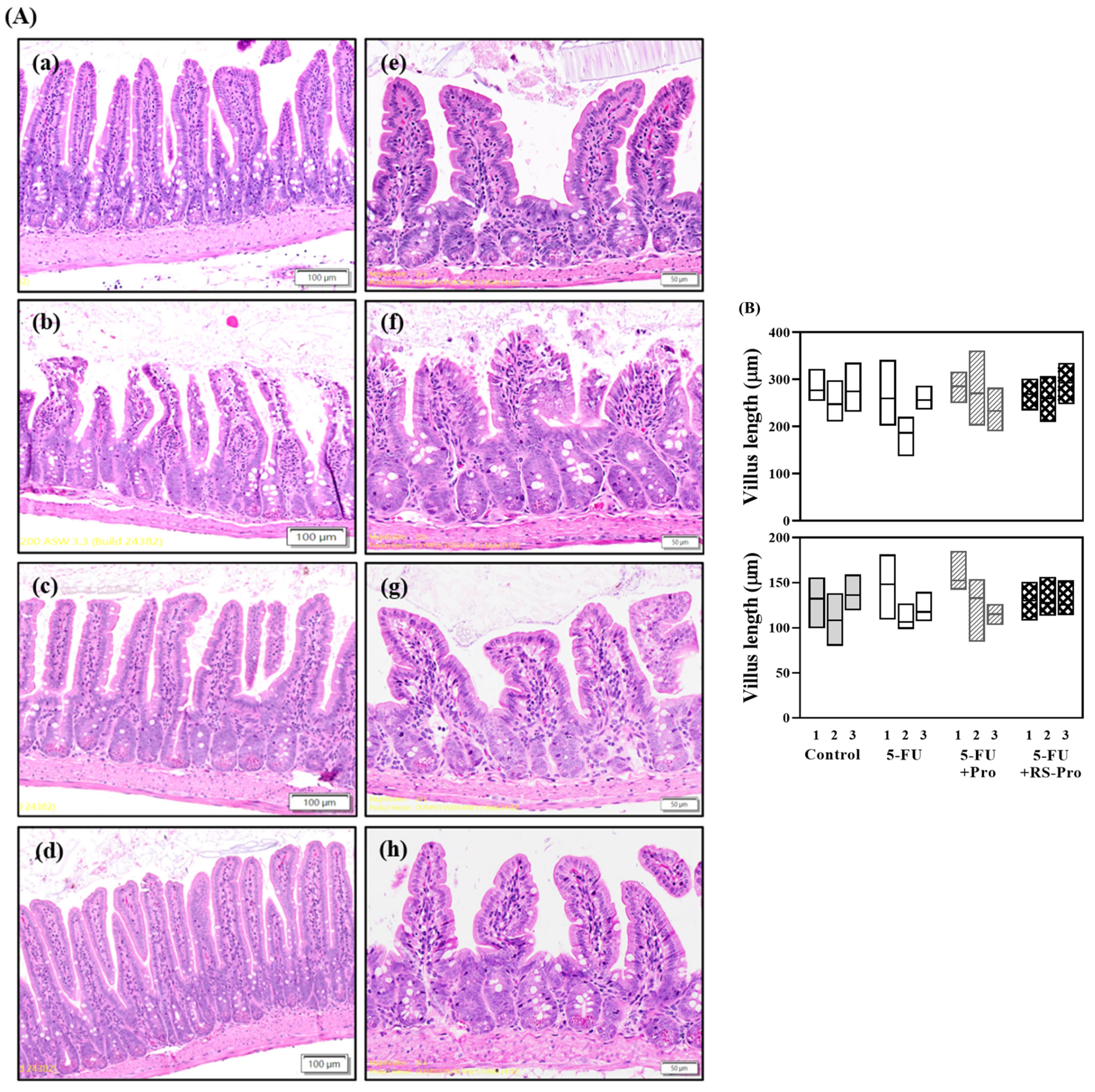 Biomedicines 12 01912 g007