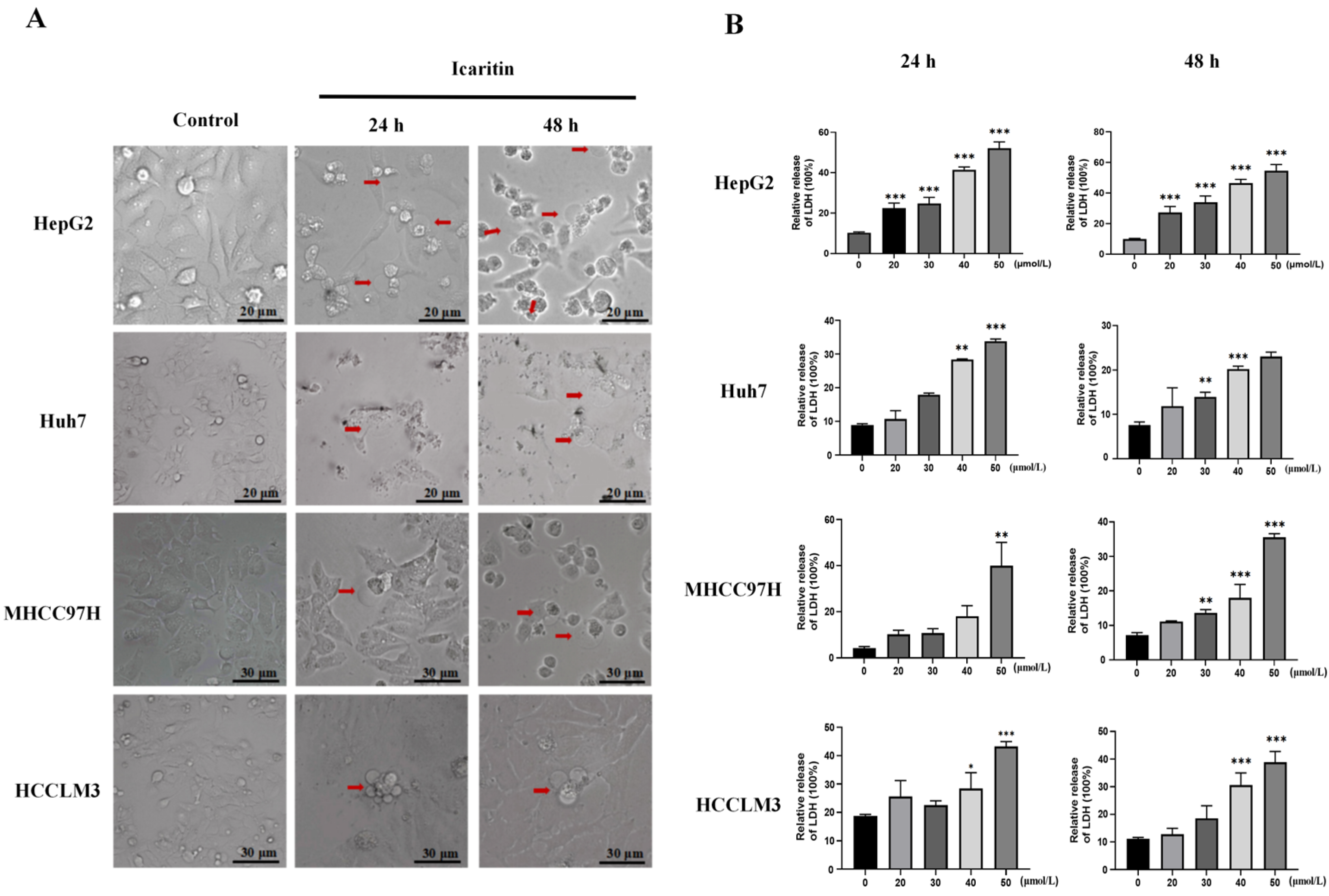 Biomedicines 12 01917 g002a