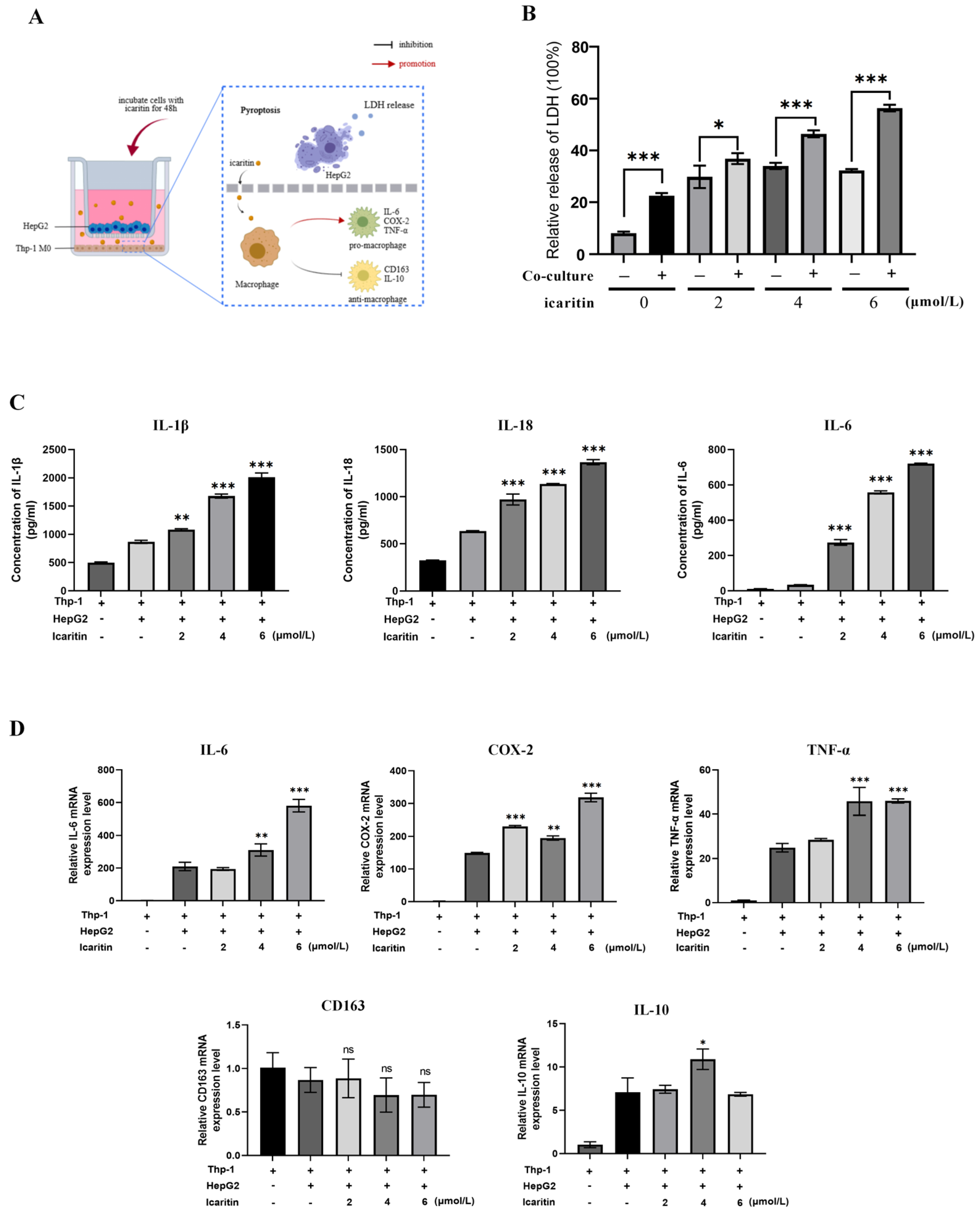 Biomedicines 12 01917 g004