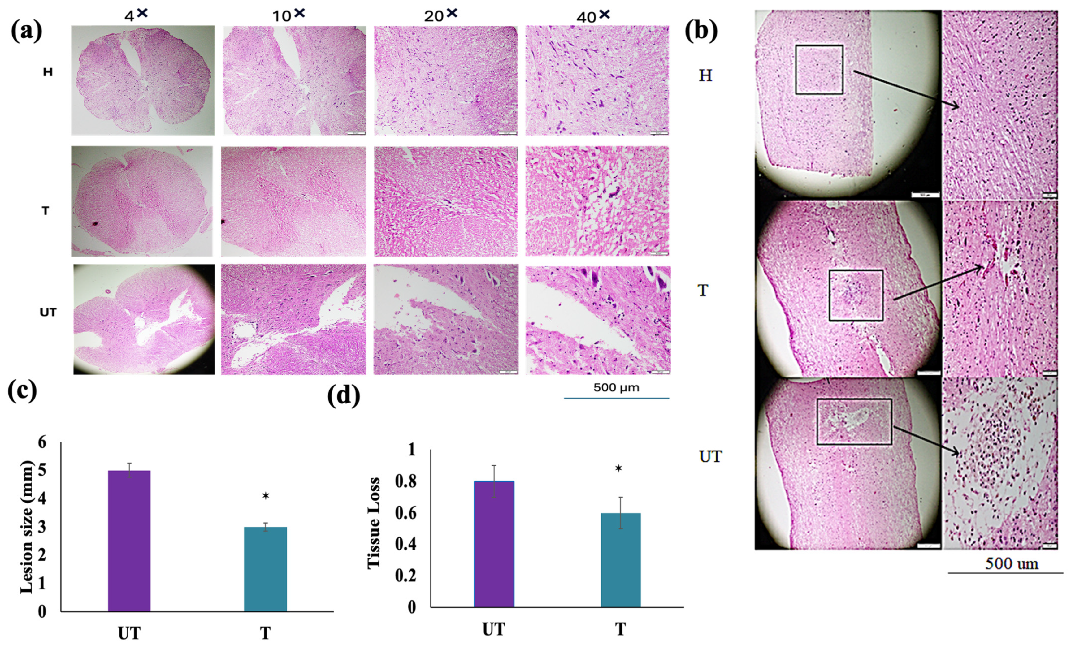 Biomedicines 12 01920 g005 Biomedicines 12 01920 g005