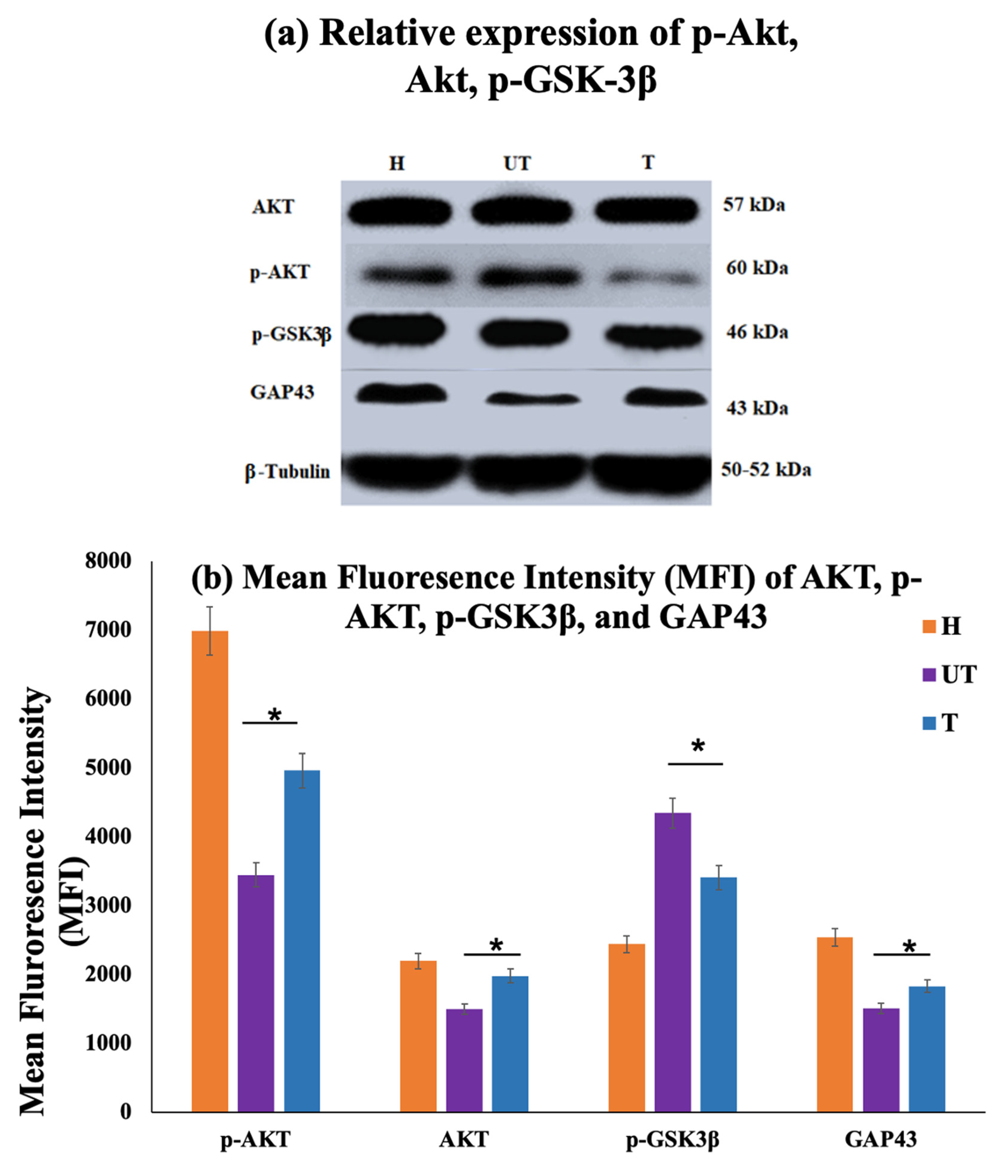 Biomedicines 12 01920 g007 Biomedicines 12 01920 g007