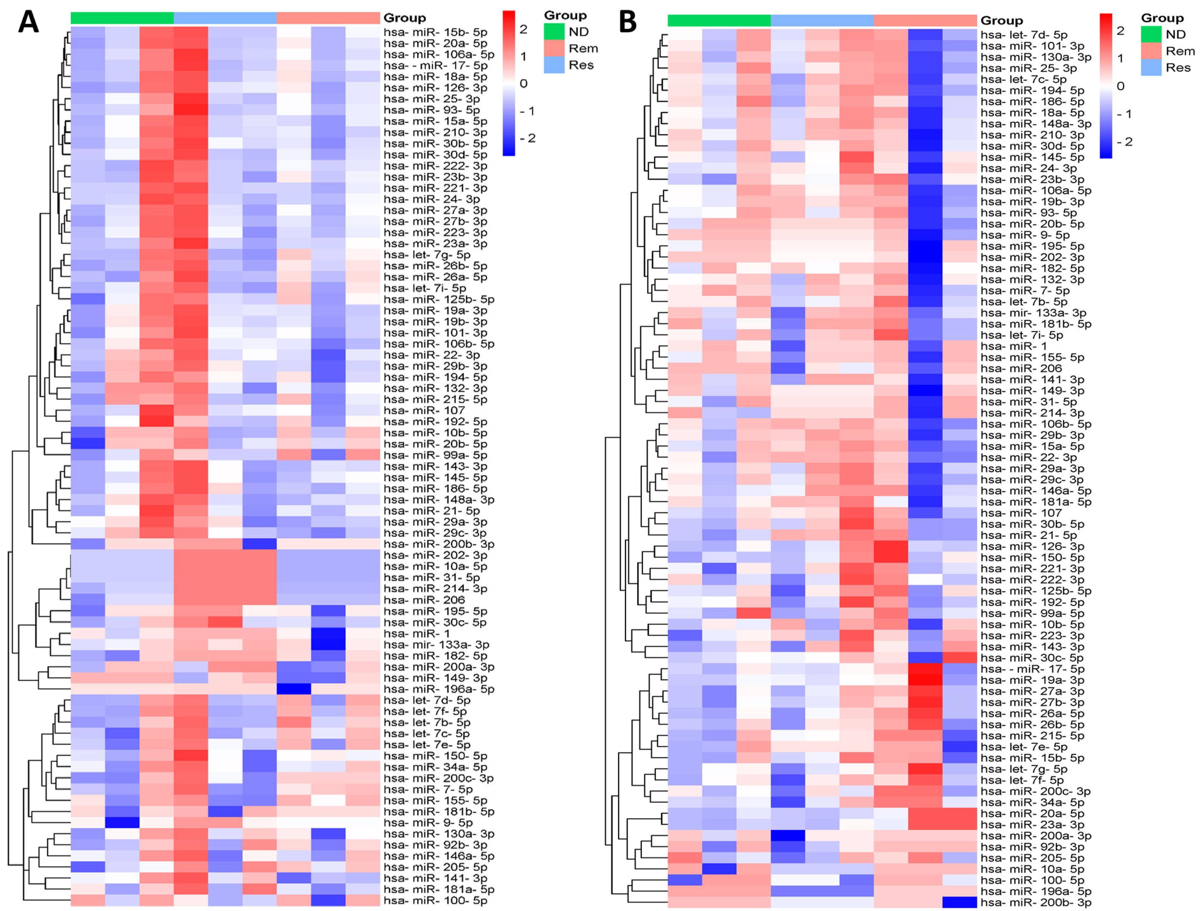 Biomedicines 12 01924 g001