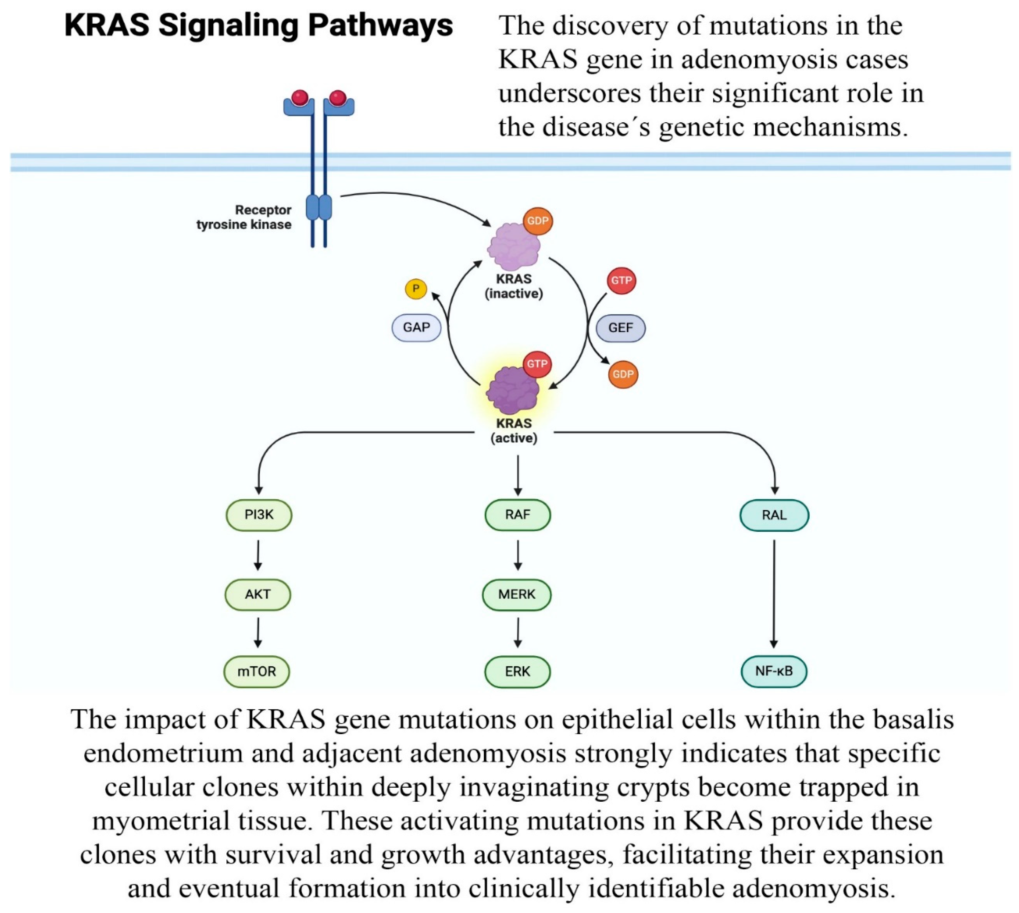 Biomedicines 12 01925 g001