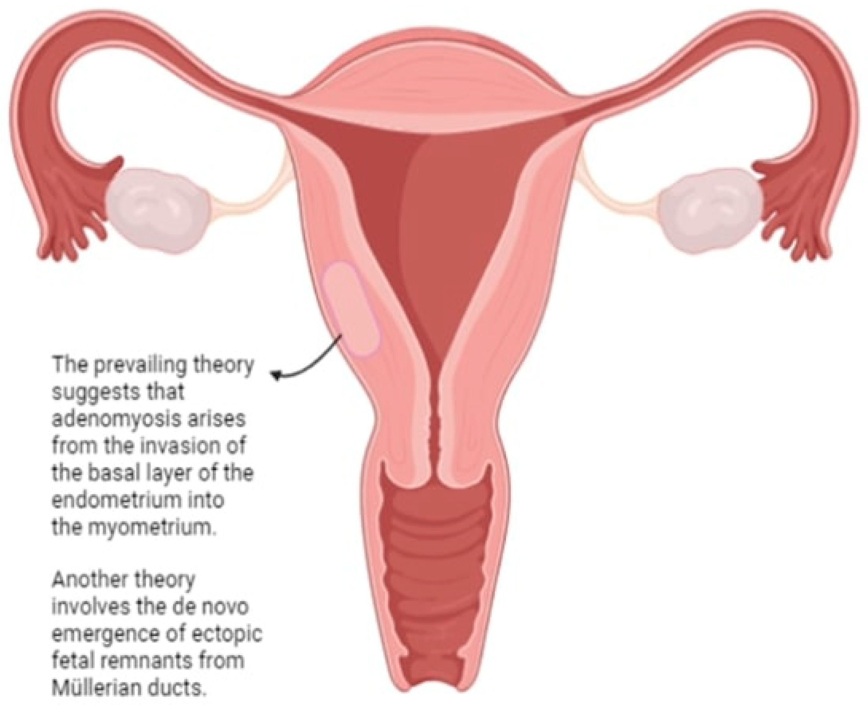 Biomedicines 12 01925 g002