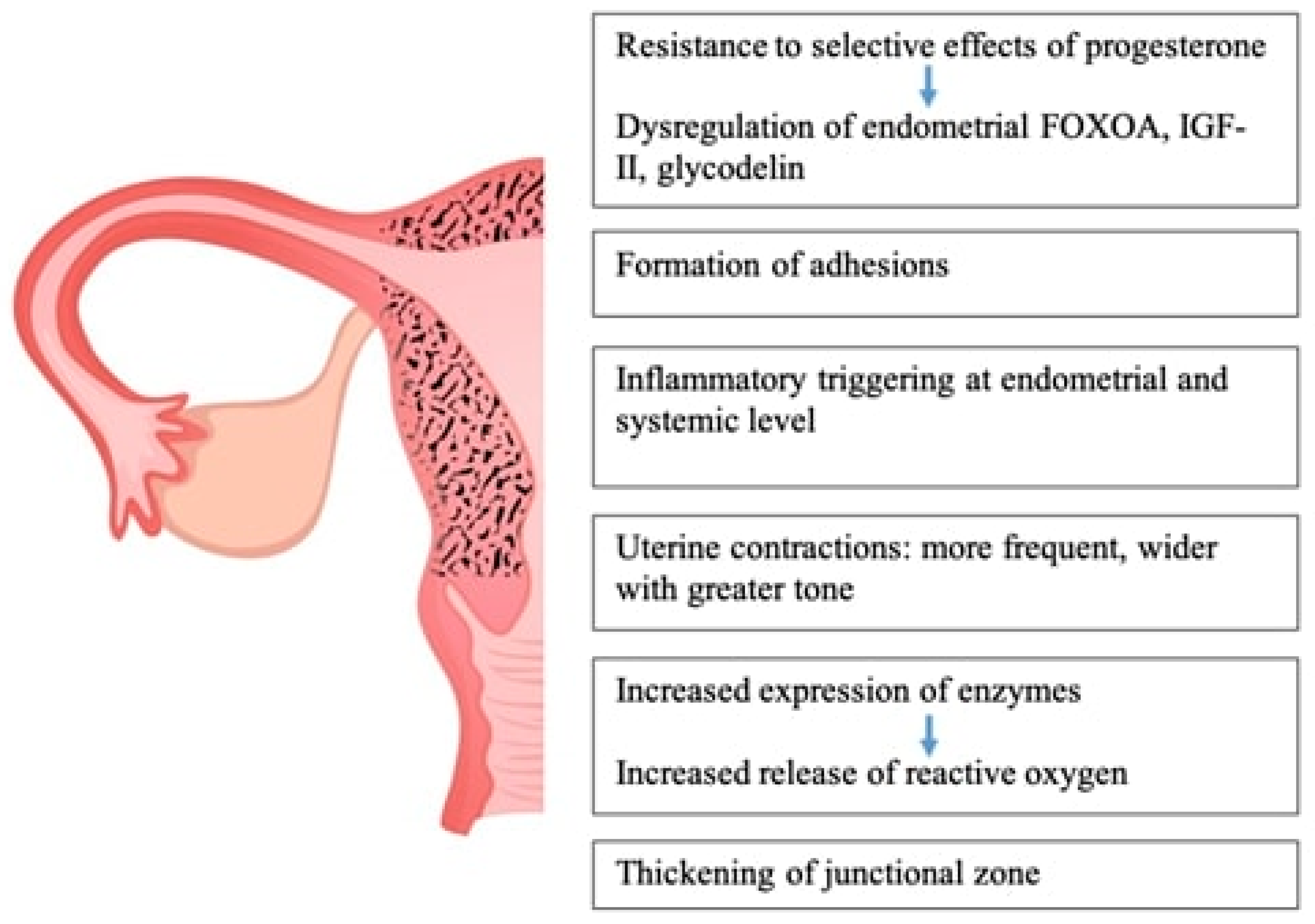 Biomedicines 12 01925 g003