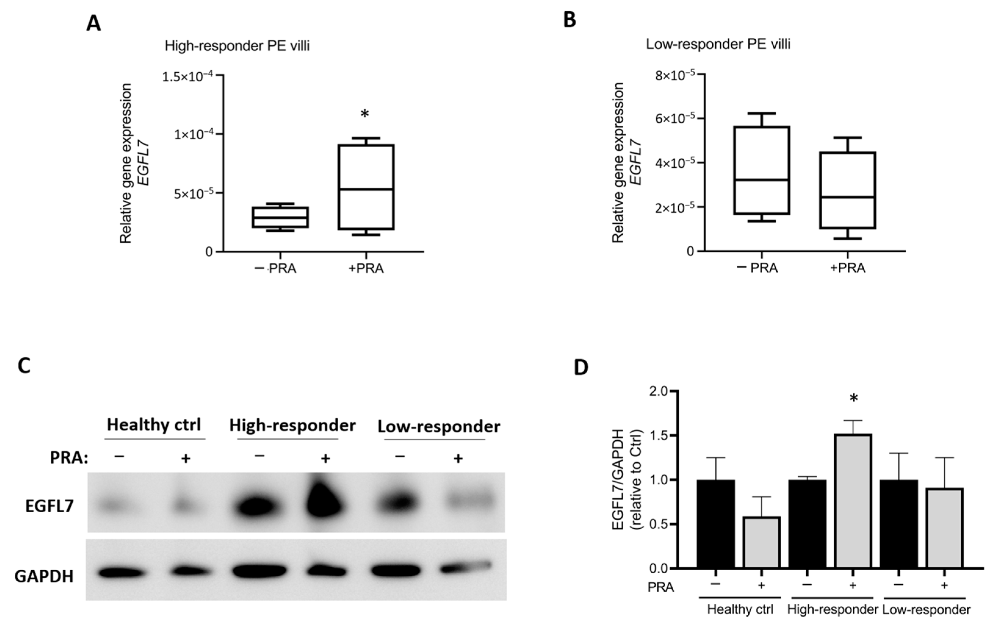 Biomedicines 12 01929 g003 Biomedicines 12 01929 g003