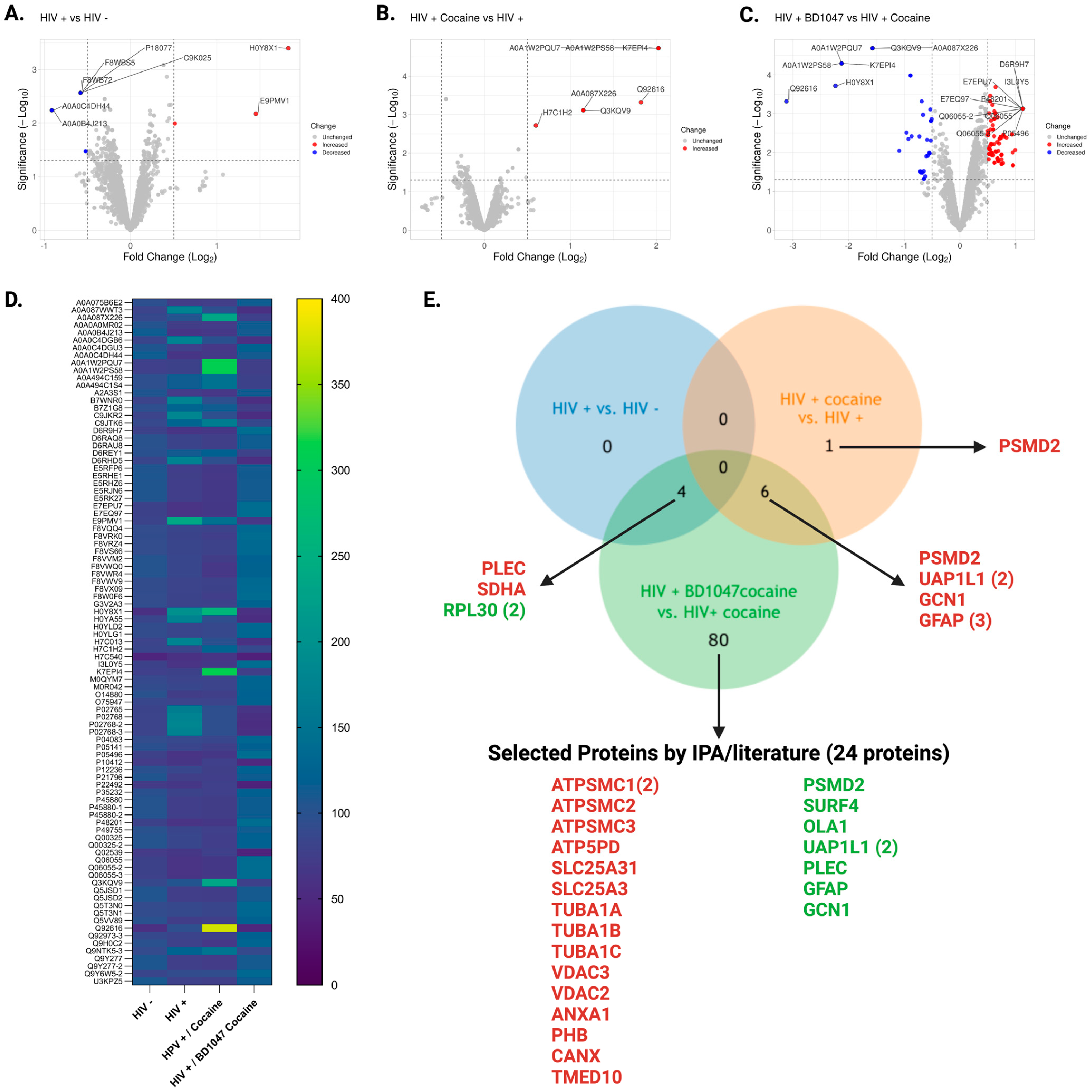 Biomedicines 12 01934 g002