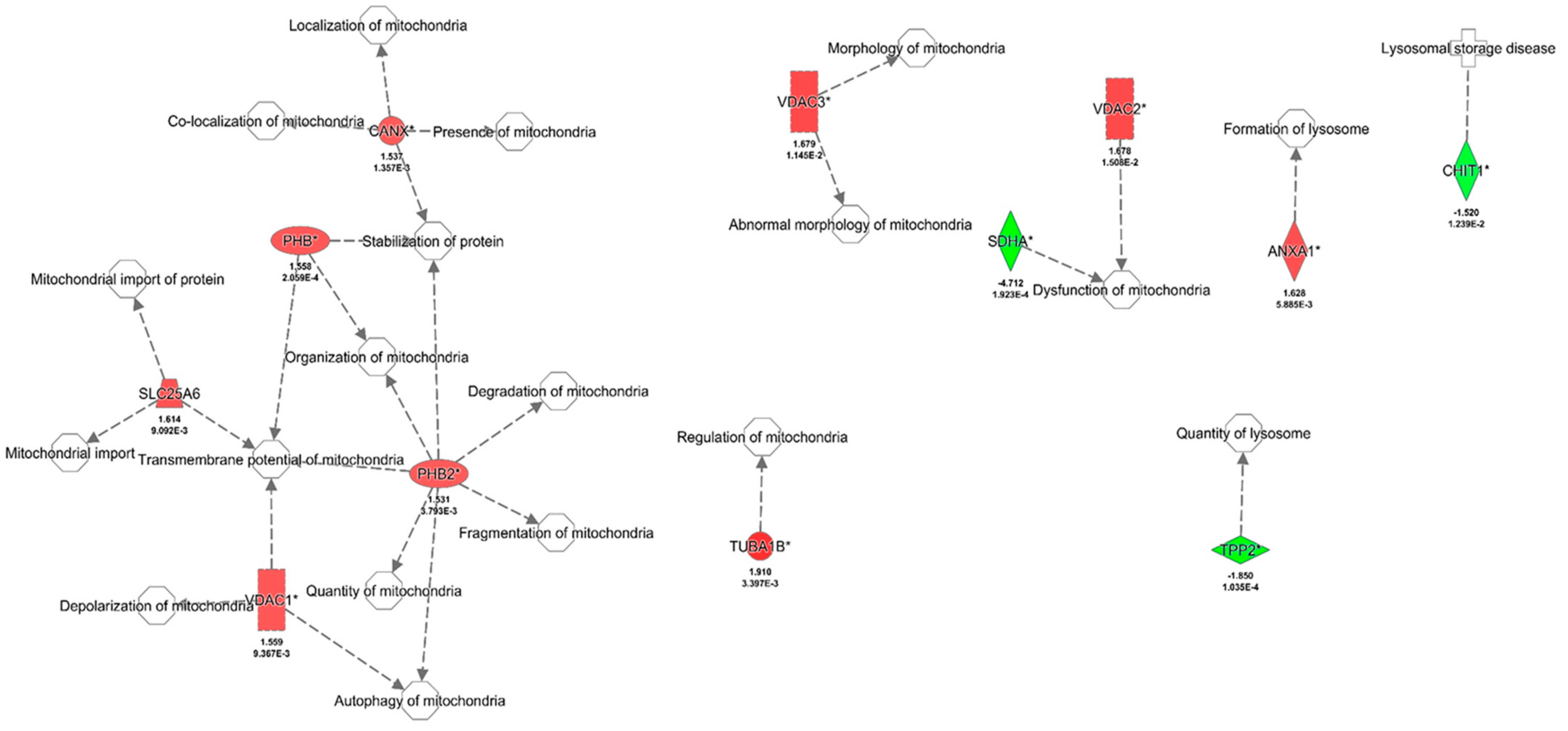 Biomedicines 12 01934 g003