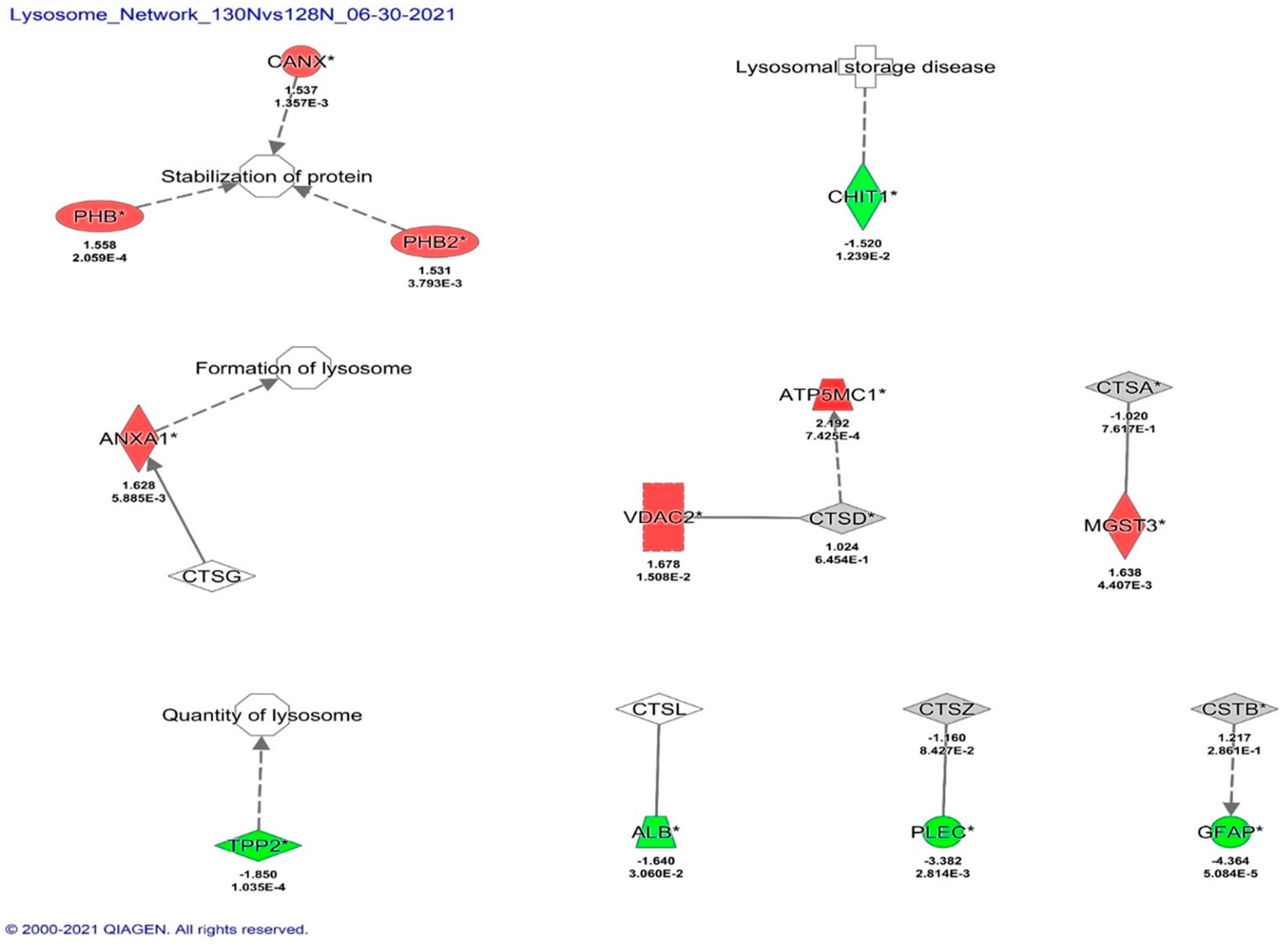 Biomedicines 12 01934 g004