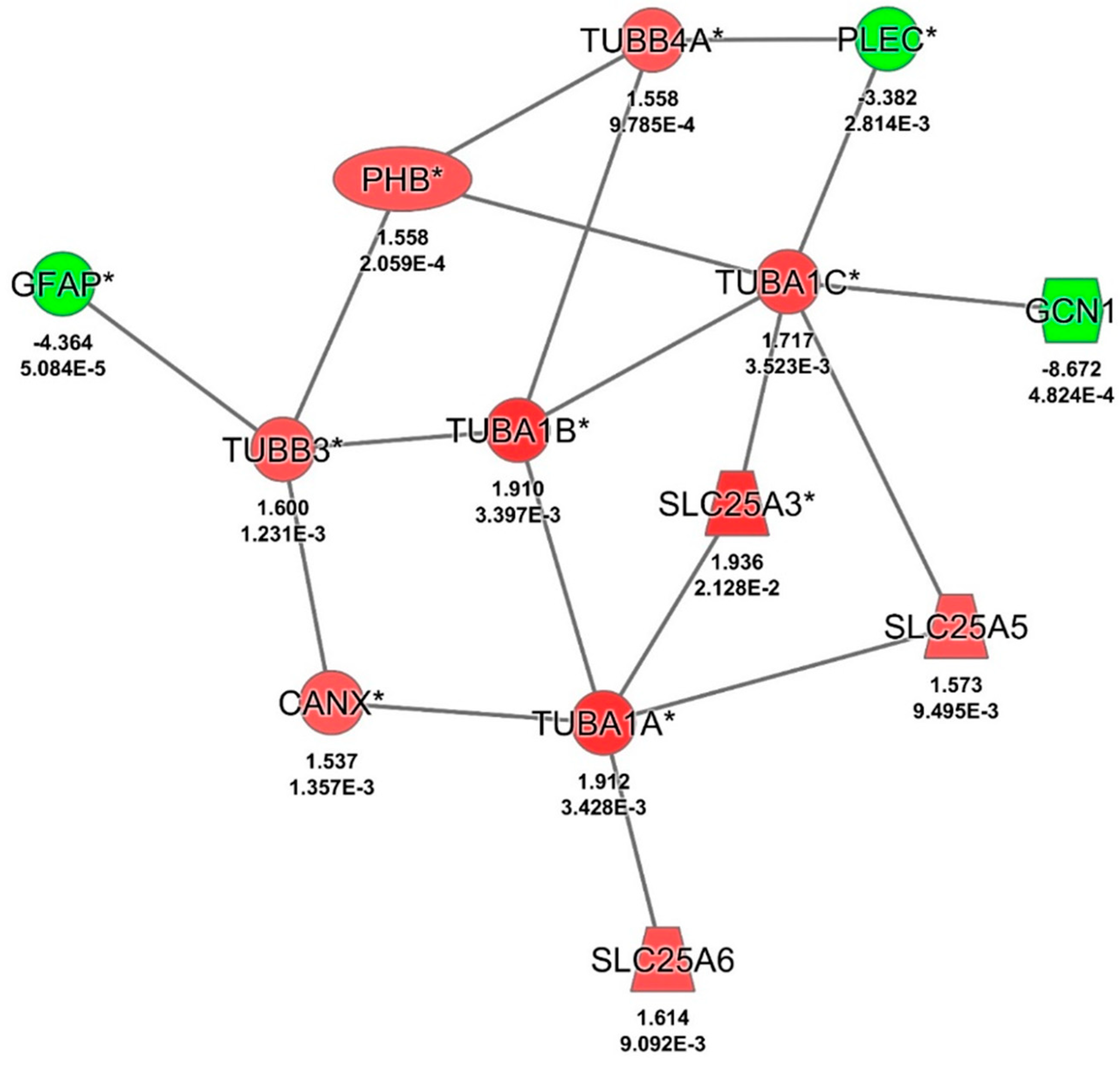 Biomedicines 12 01934 g005