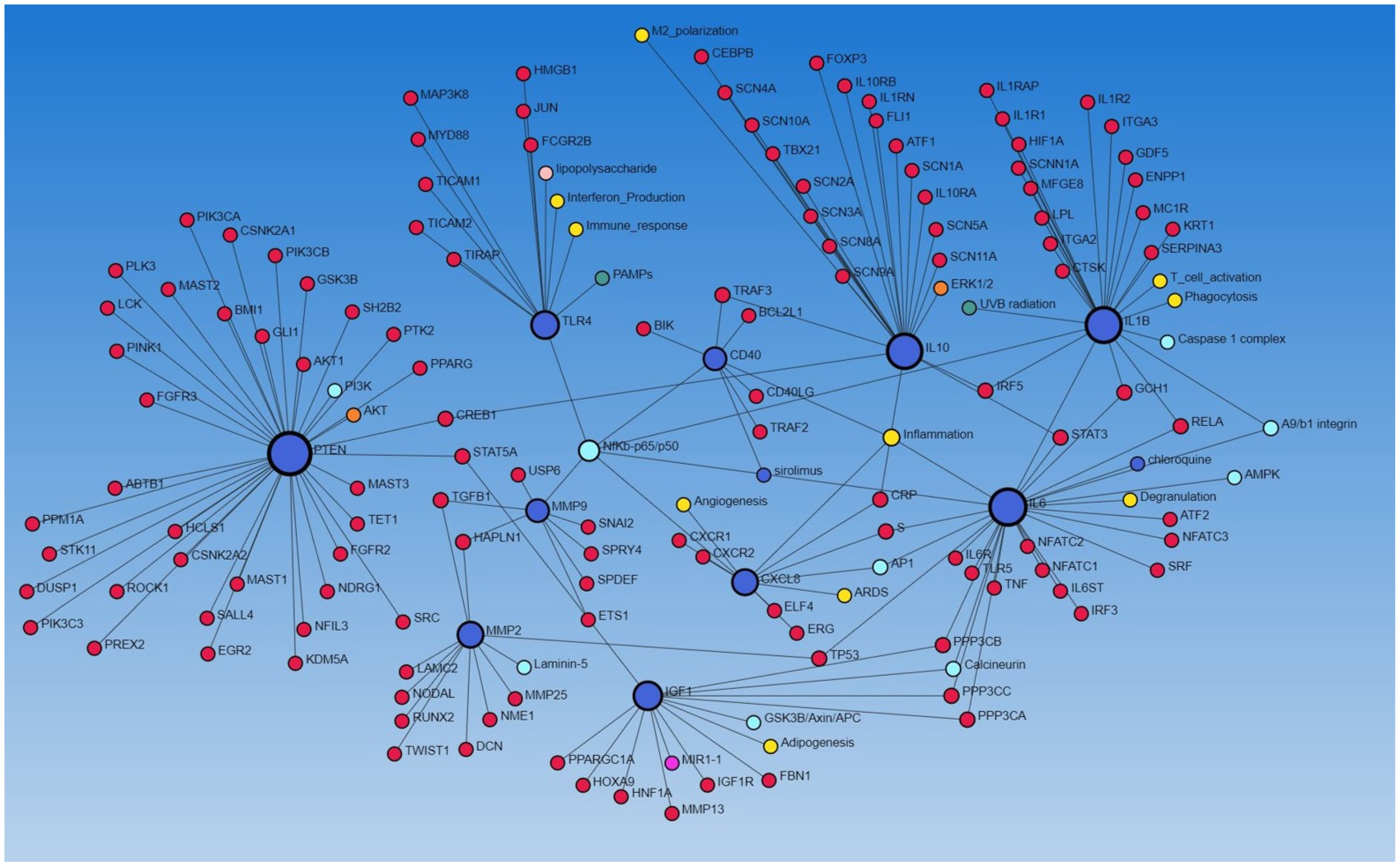 Biomedicines 12 01939 g003