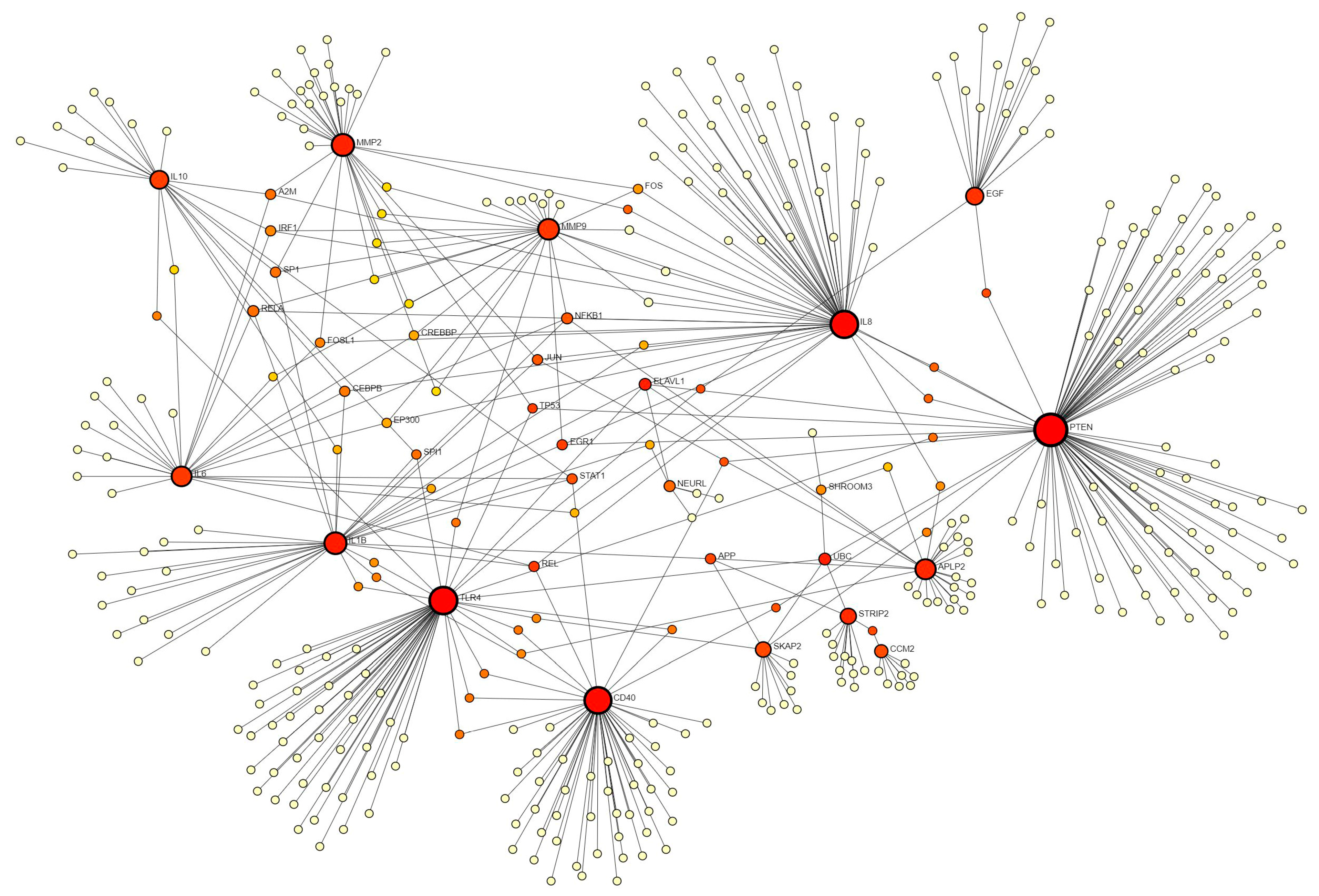 Biomedicines 12 01939 g004