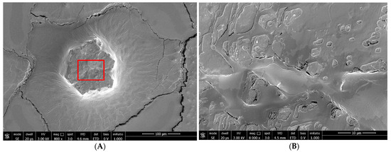 Biomedicines 12 01945 g002