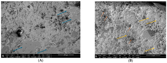 Biomedicines 12 01945 g003