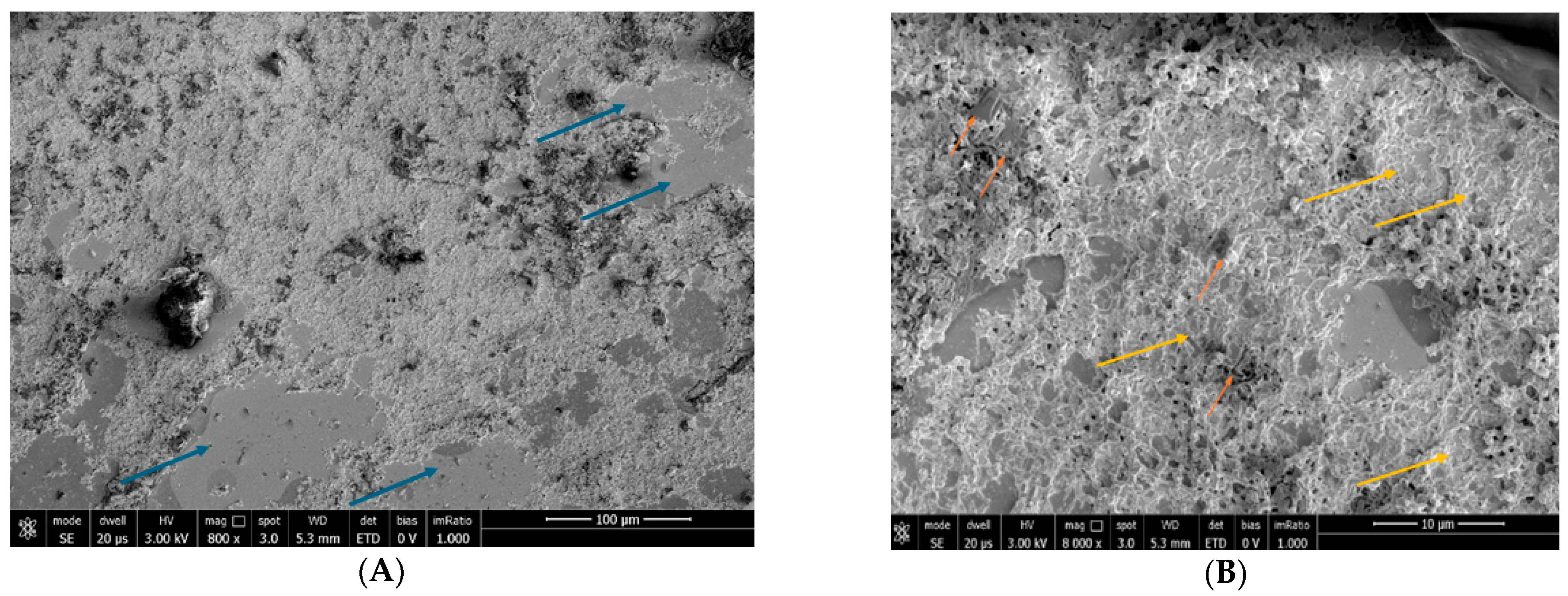 Biomedicines 12 01945 g003