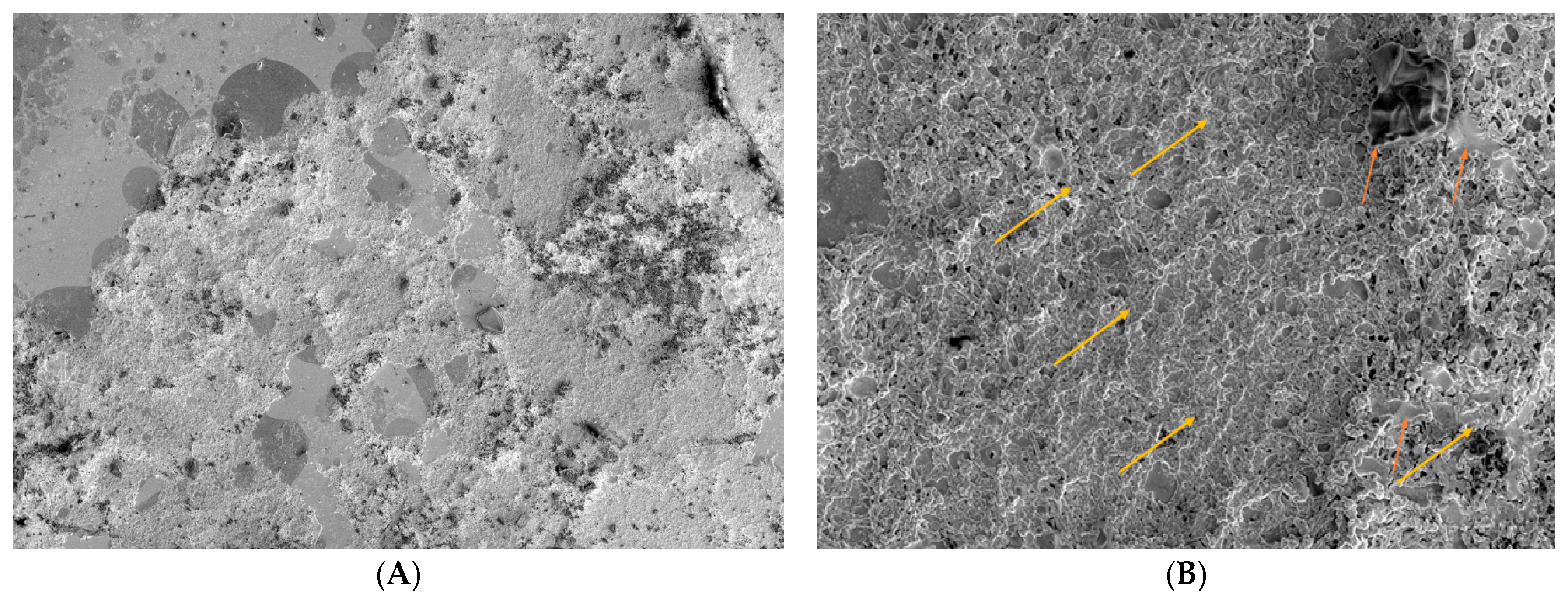 Biomedicines 12 01945 g004