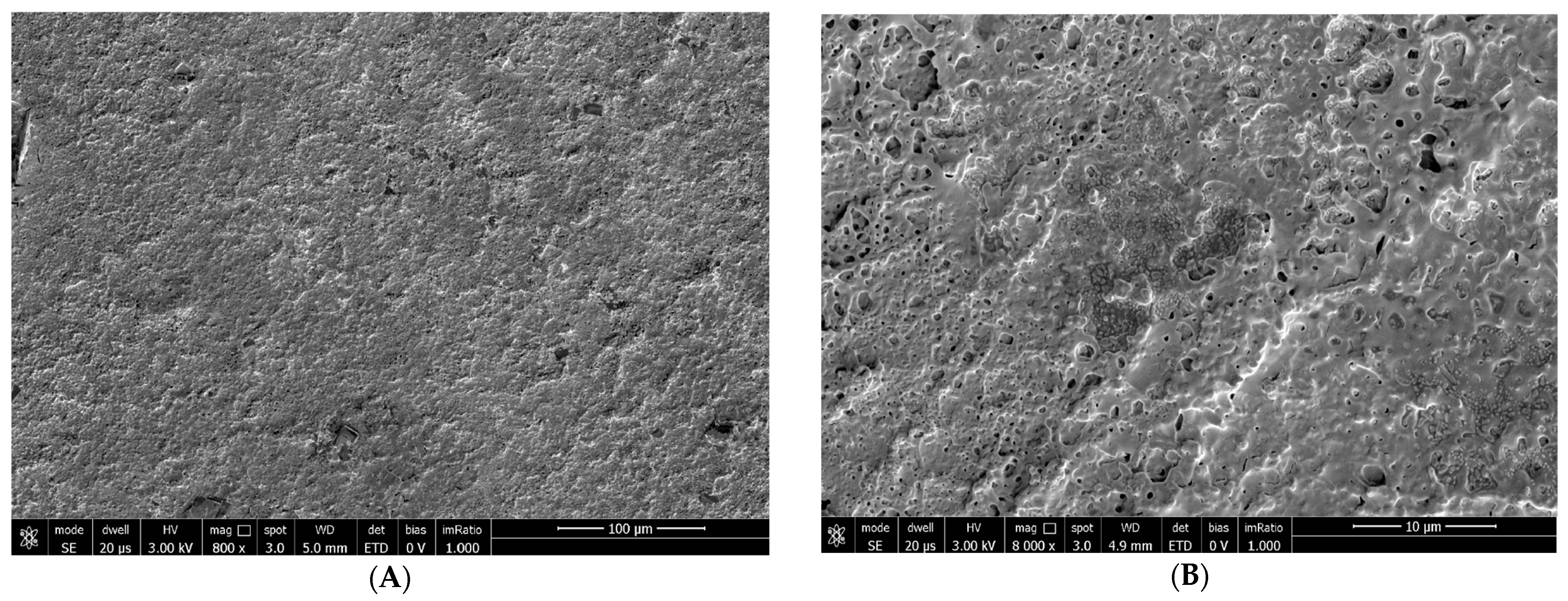 Biomedicines 12 01945 g006