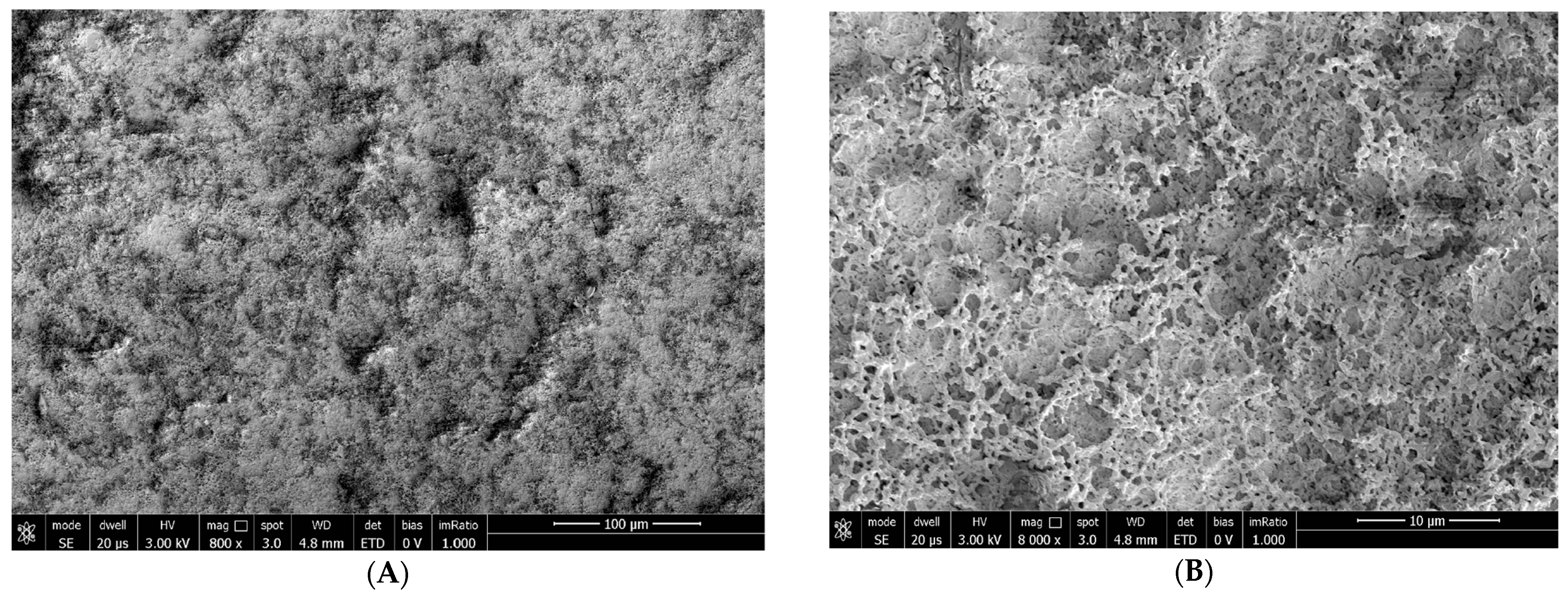 Biomedicines 12 01945 g007