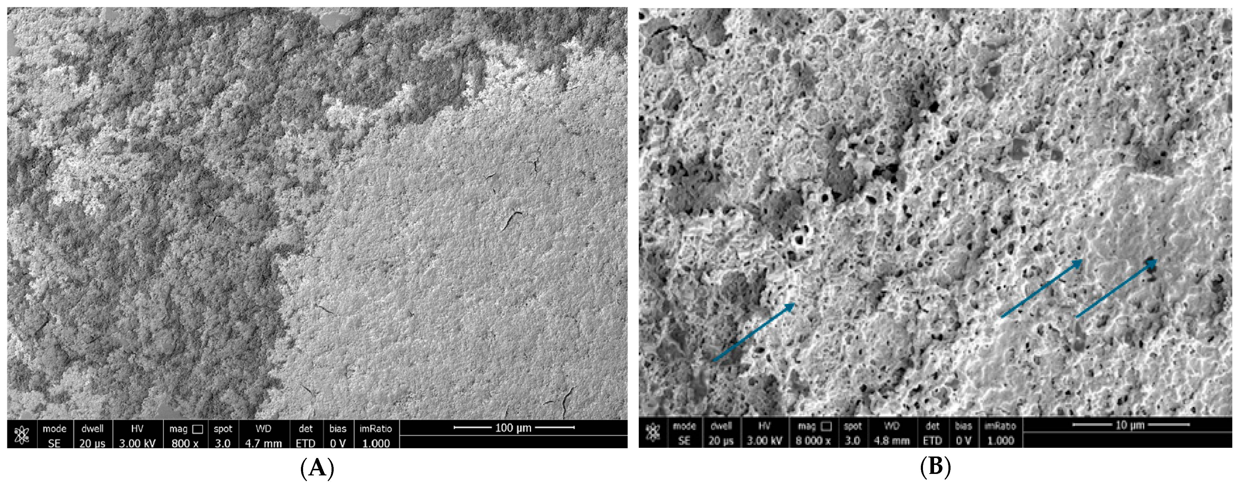 Biomedicines 12 01945 g008