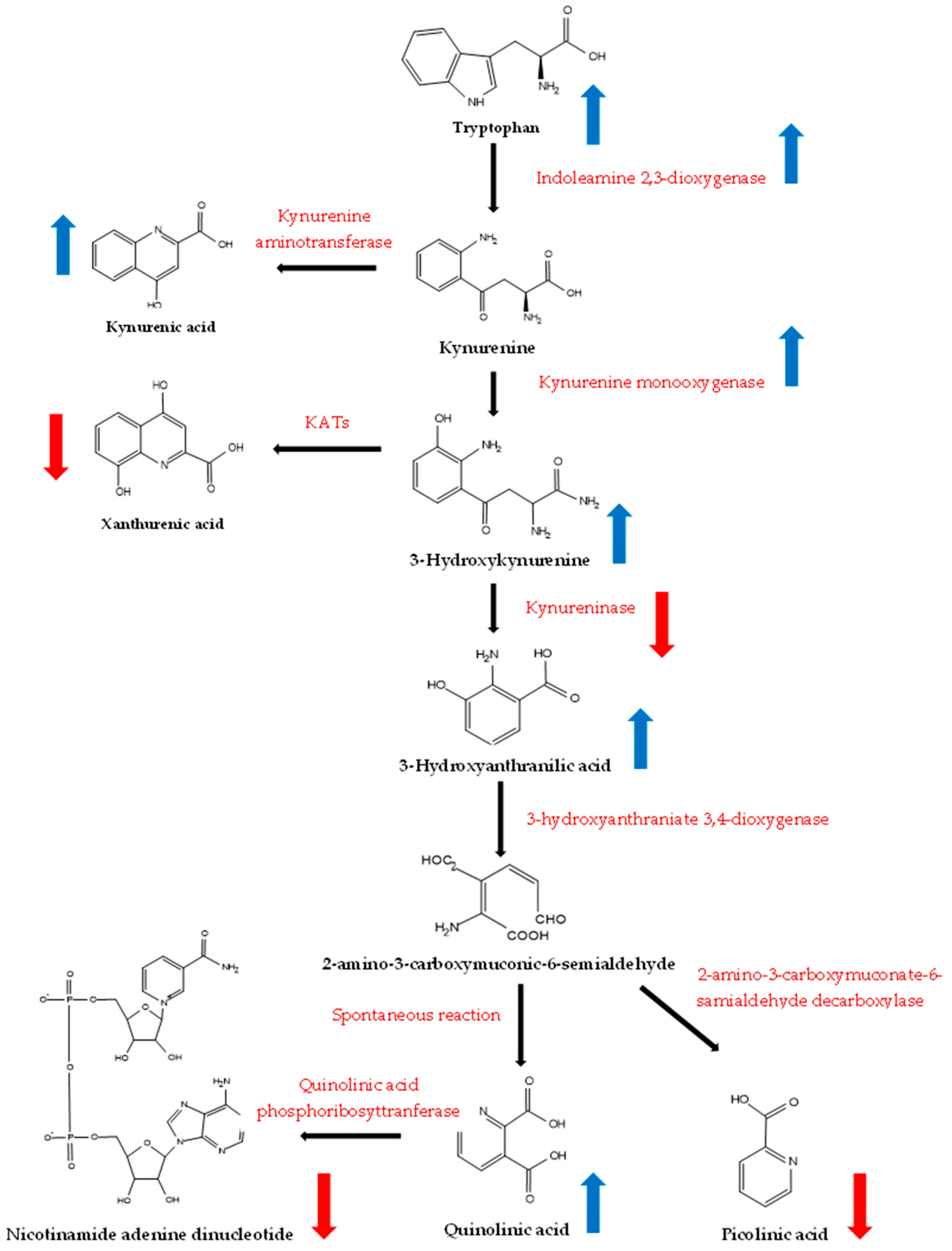 Biomedicines 12 01947 g006