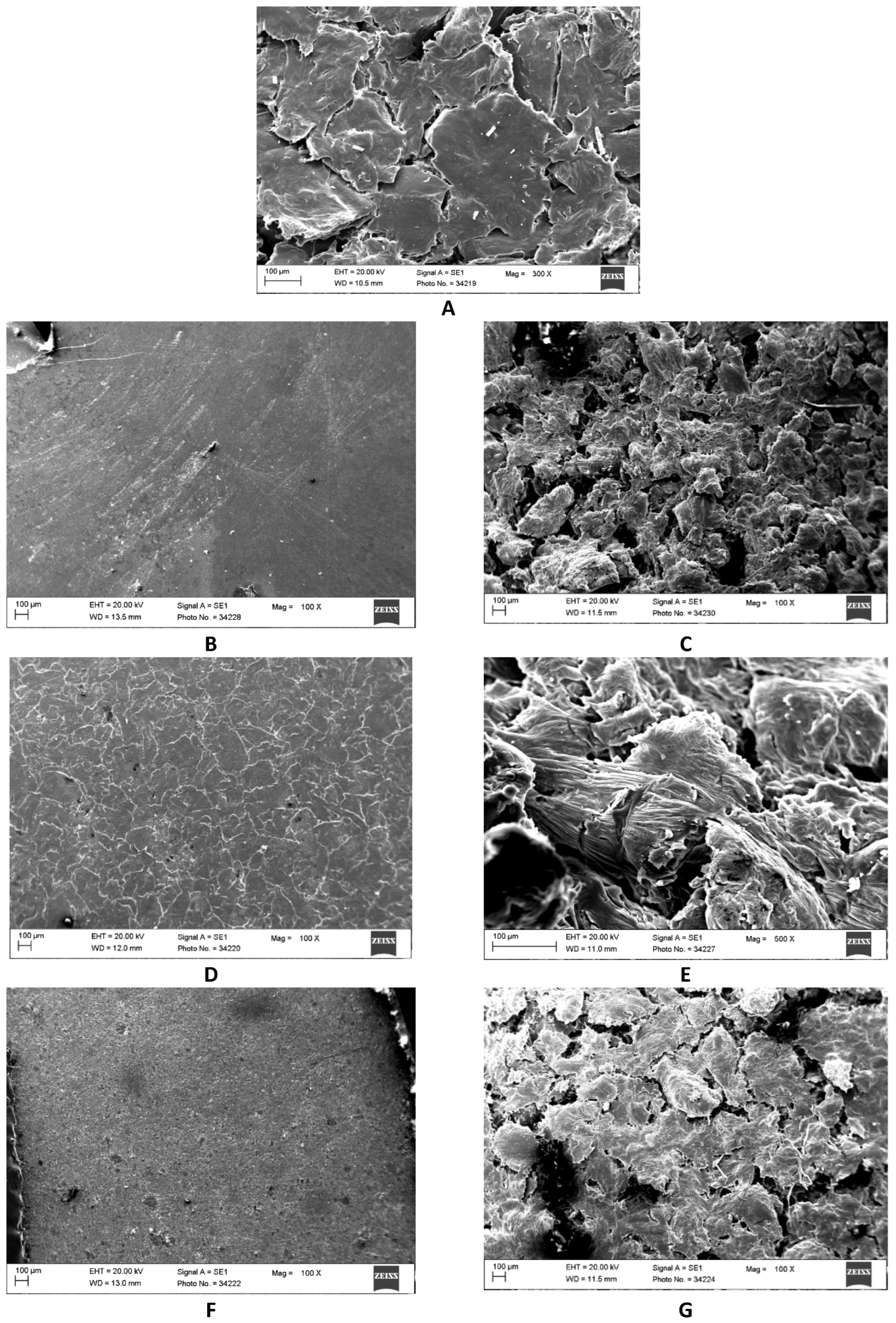 Biomedicines 12 01949 g001