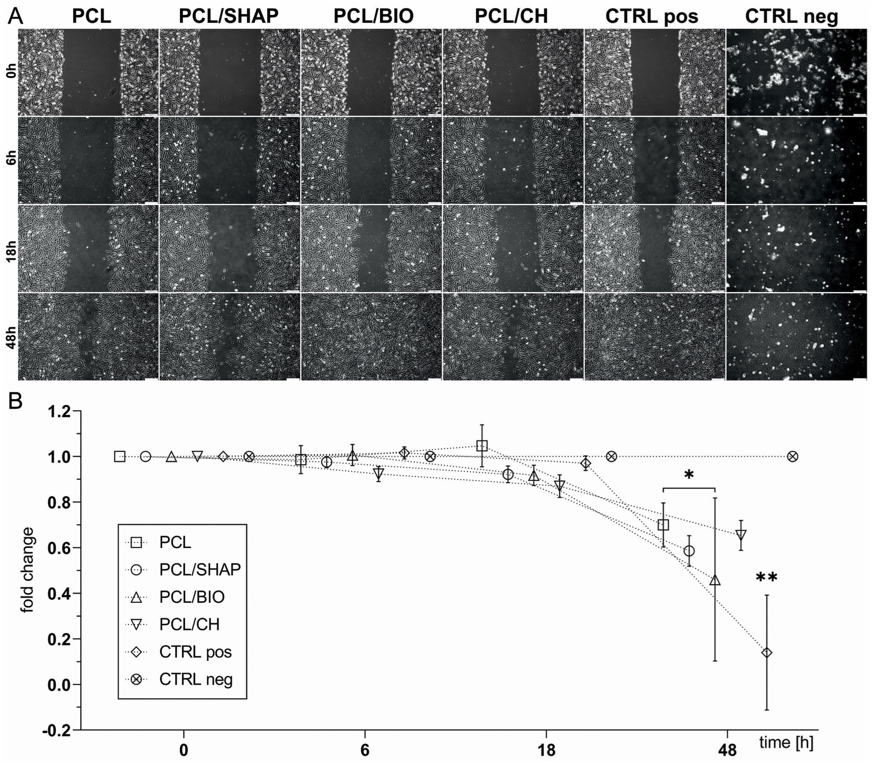 Biomedicines 12 01949 g004