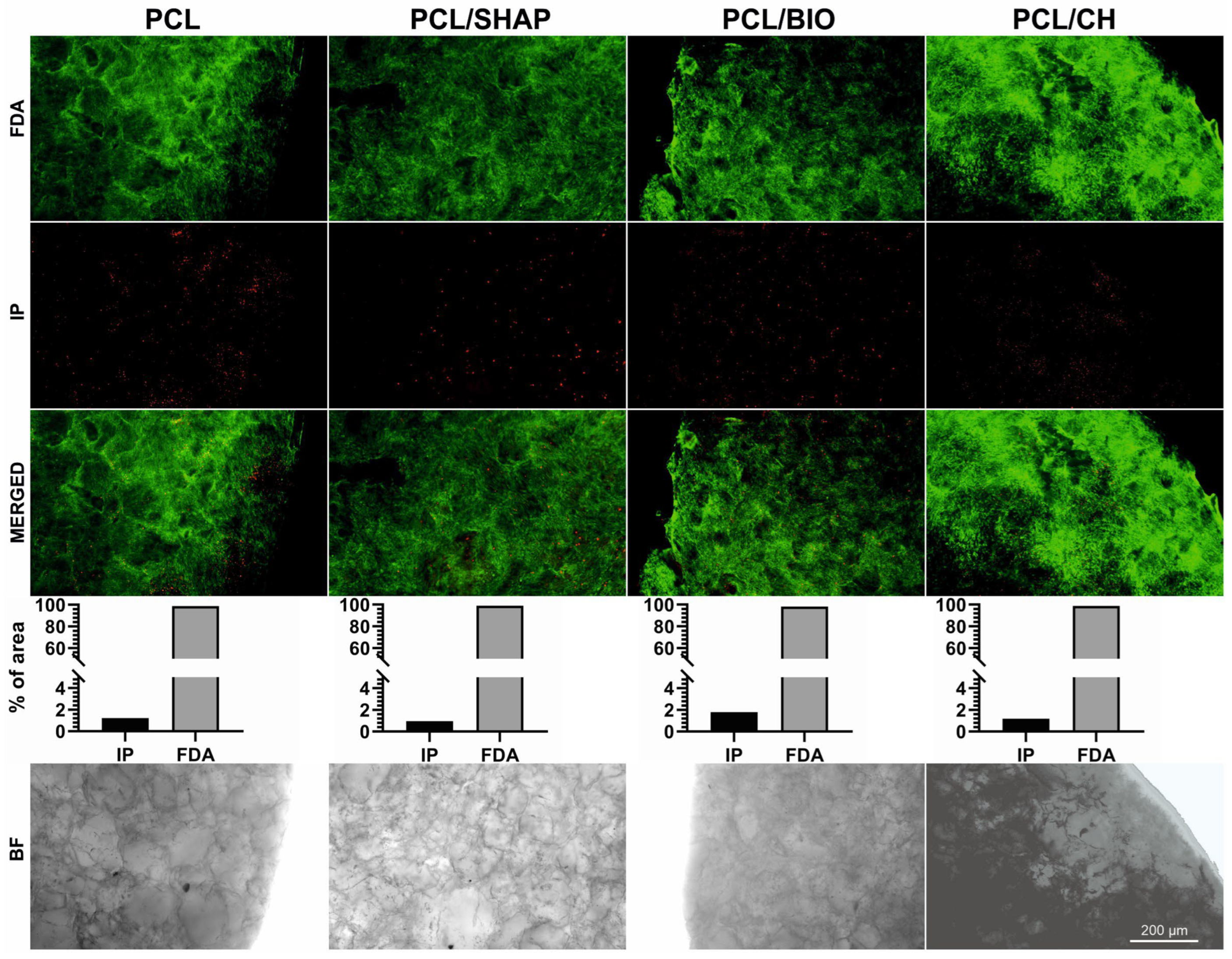 Biomedicines 12 01949 g006