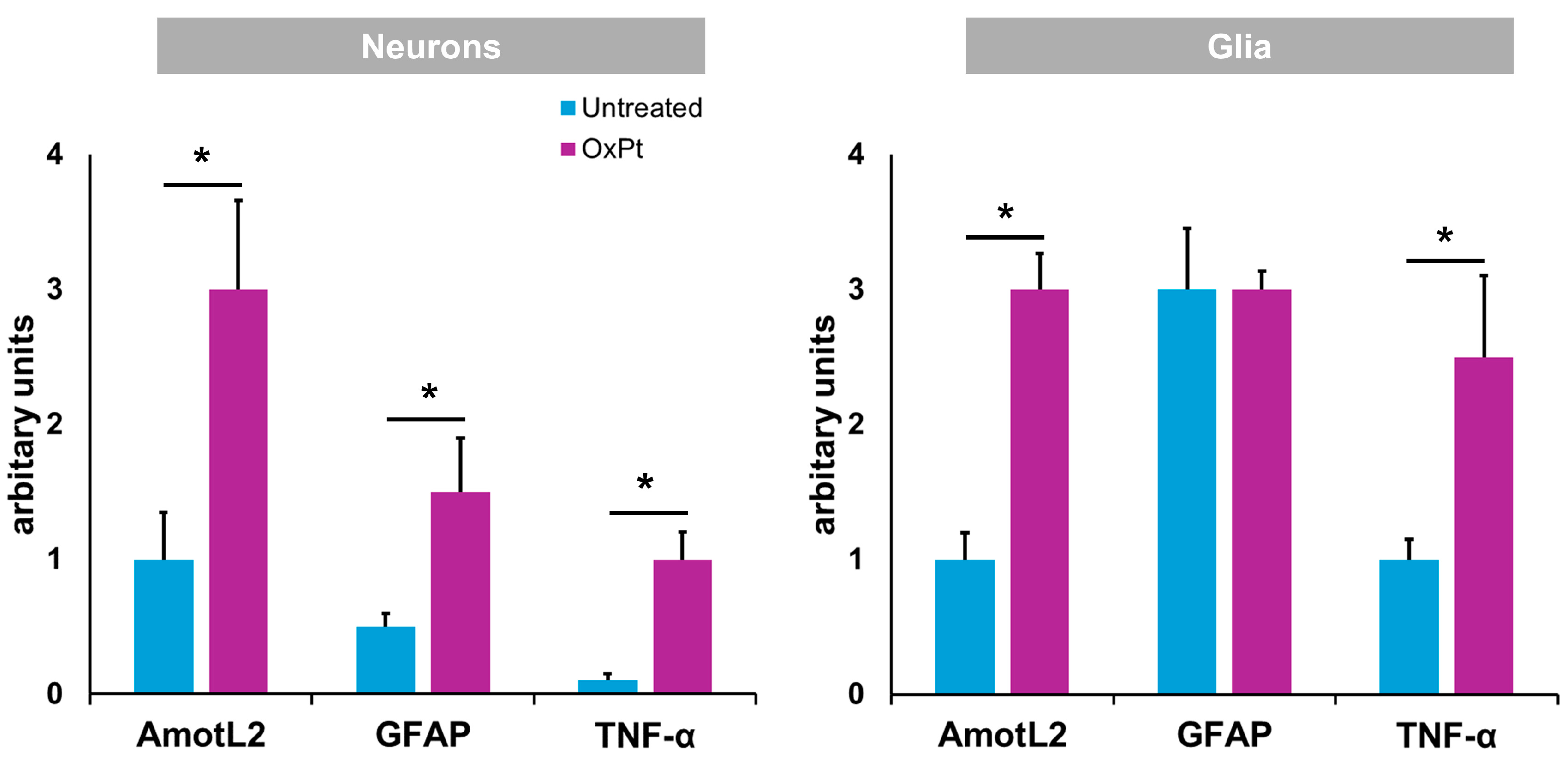 Biomedicines 12 01952 g008