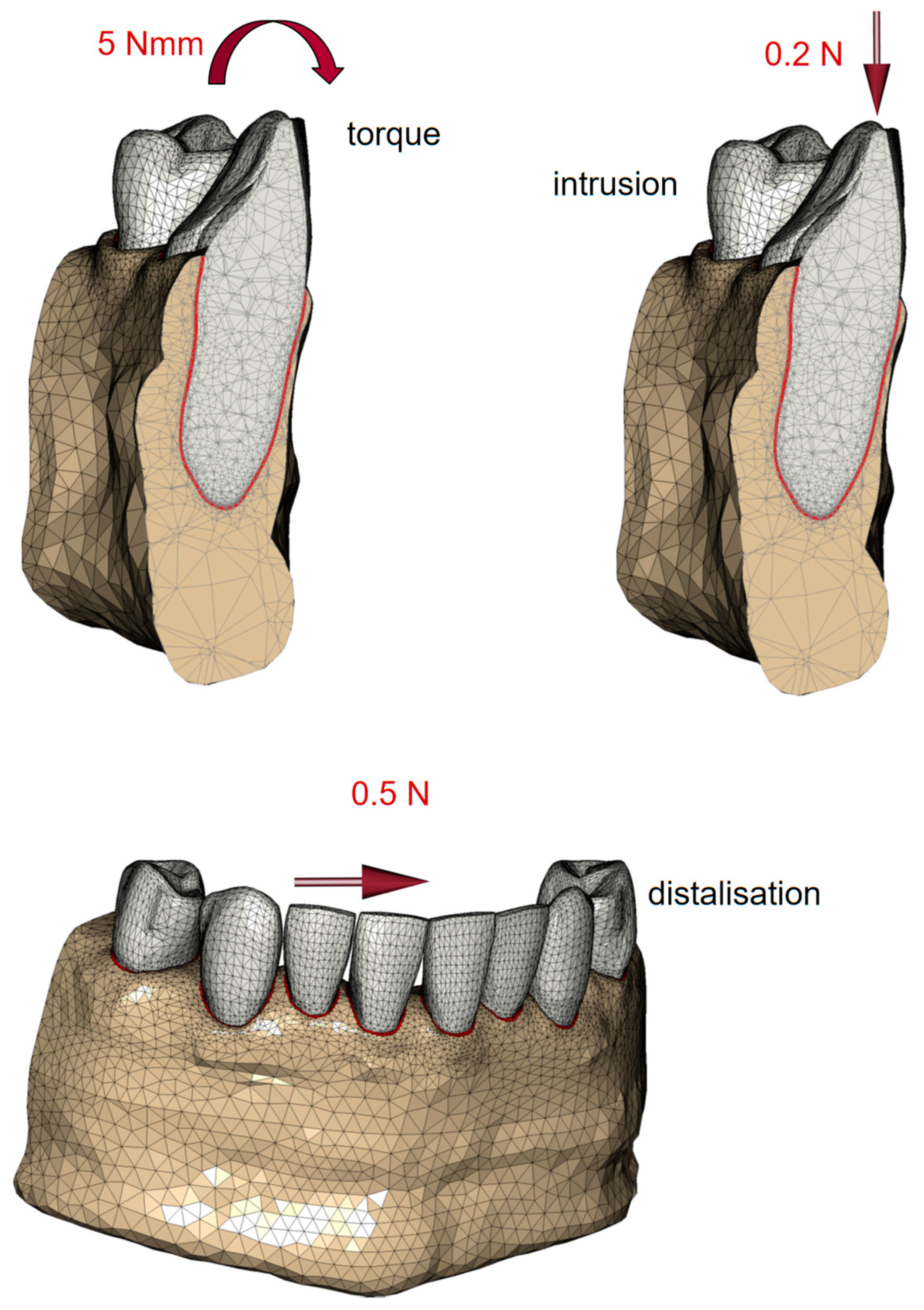 Biomedicines 12 01959 g002 Biomedicines 12 01959 g002